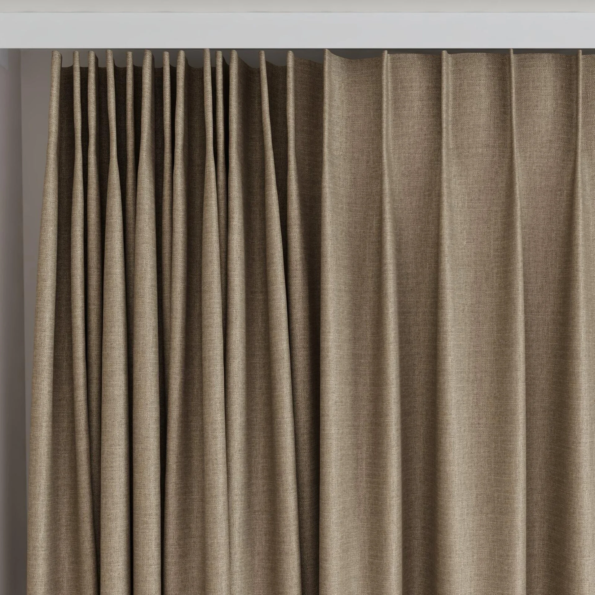 Top view of Frisco Fossil, on curtain rail