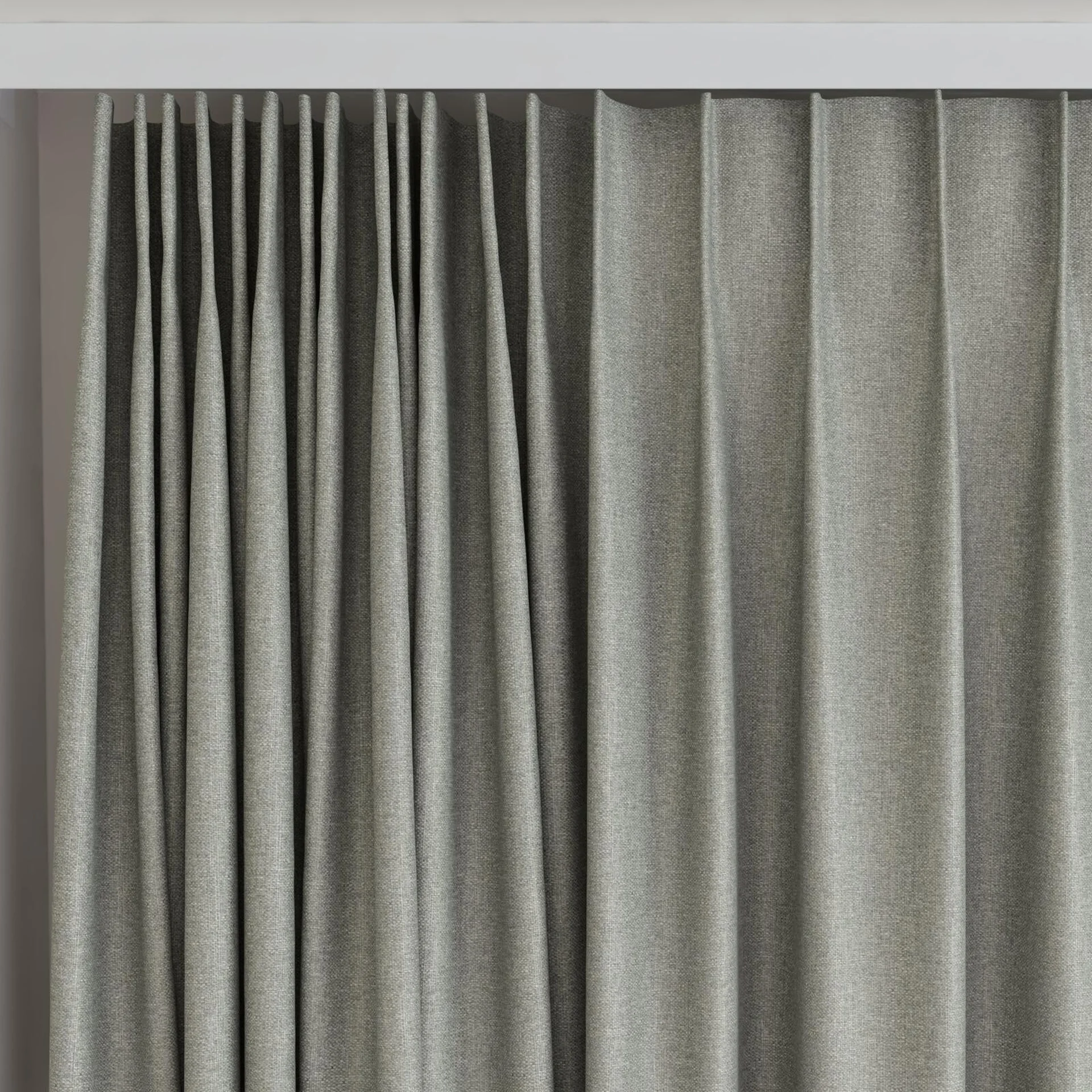 Top view of Jupiter Chinchilla, on curtain rail