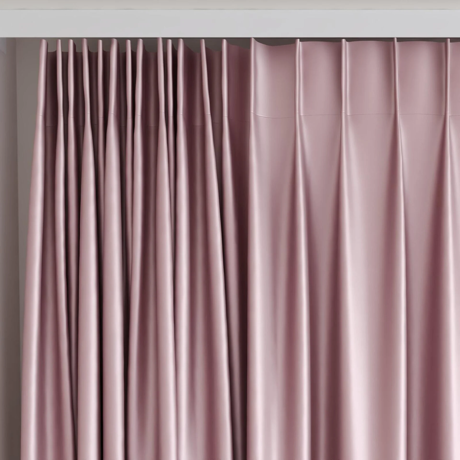 Top view of Moonbeam Orchid, on curtain rail