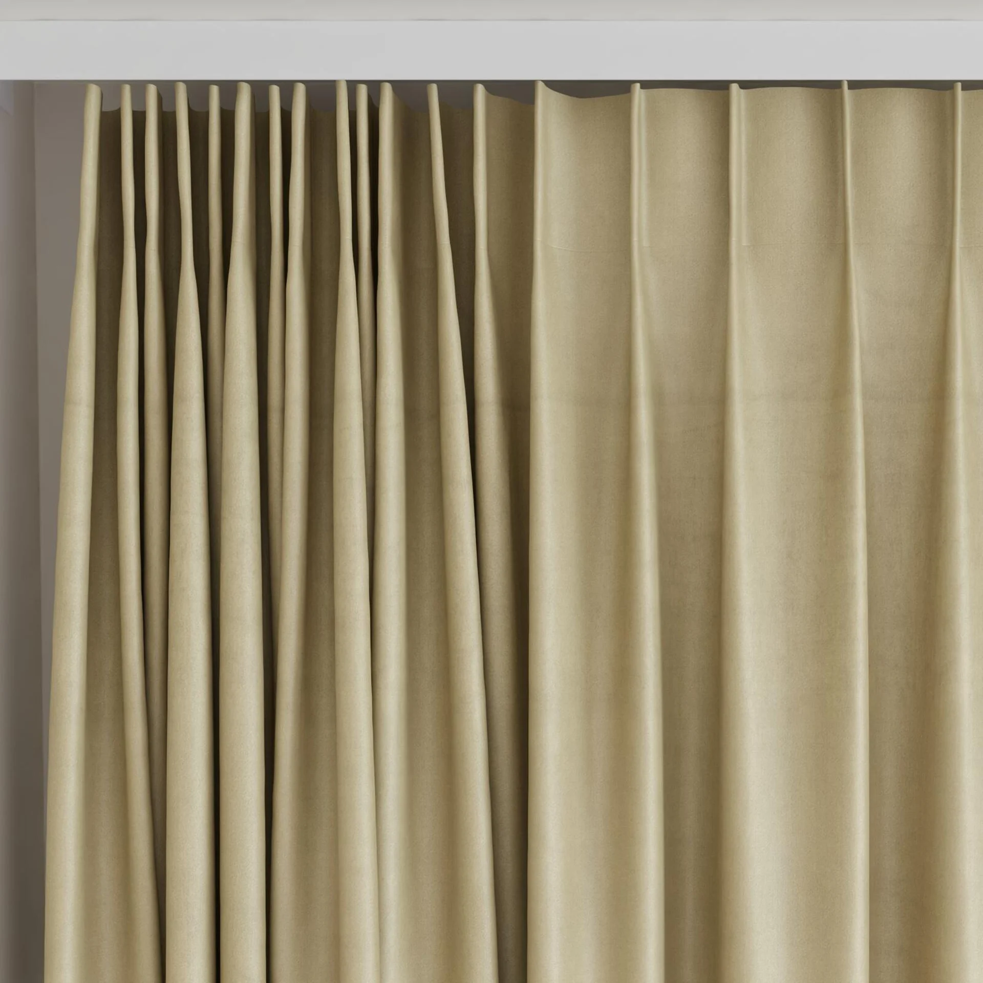 Top view of Warlock Toffee, on curtain rail