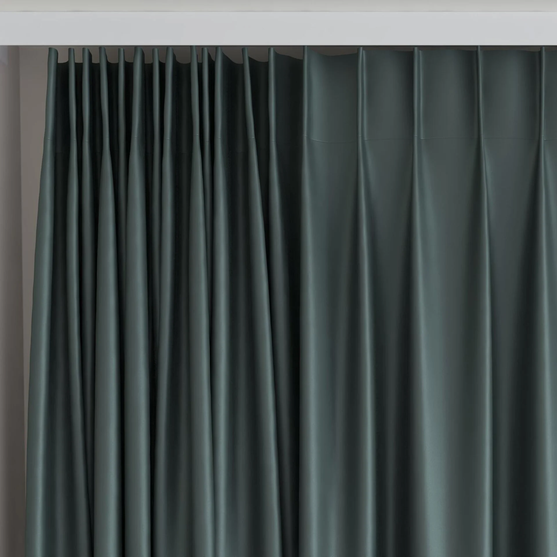 Top view of Sleek Beetle, on curtain rail