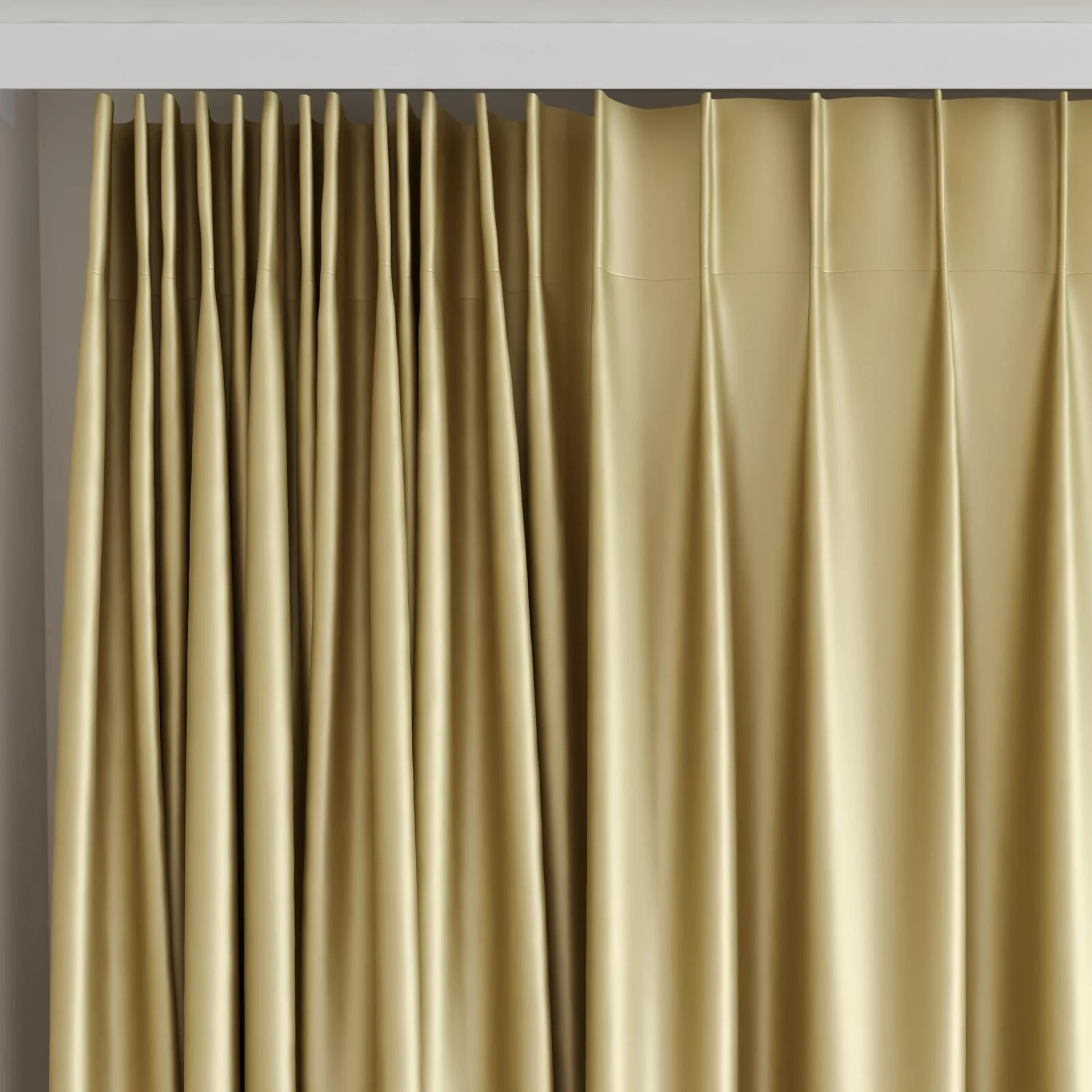Top view of Moonbeam Biscotti, on curtain rail