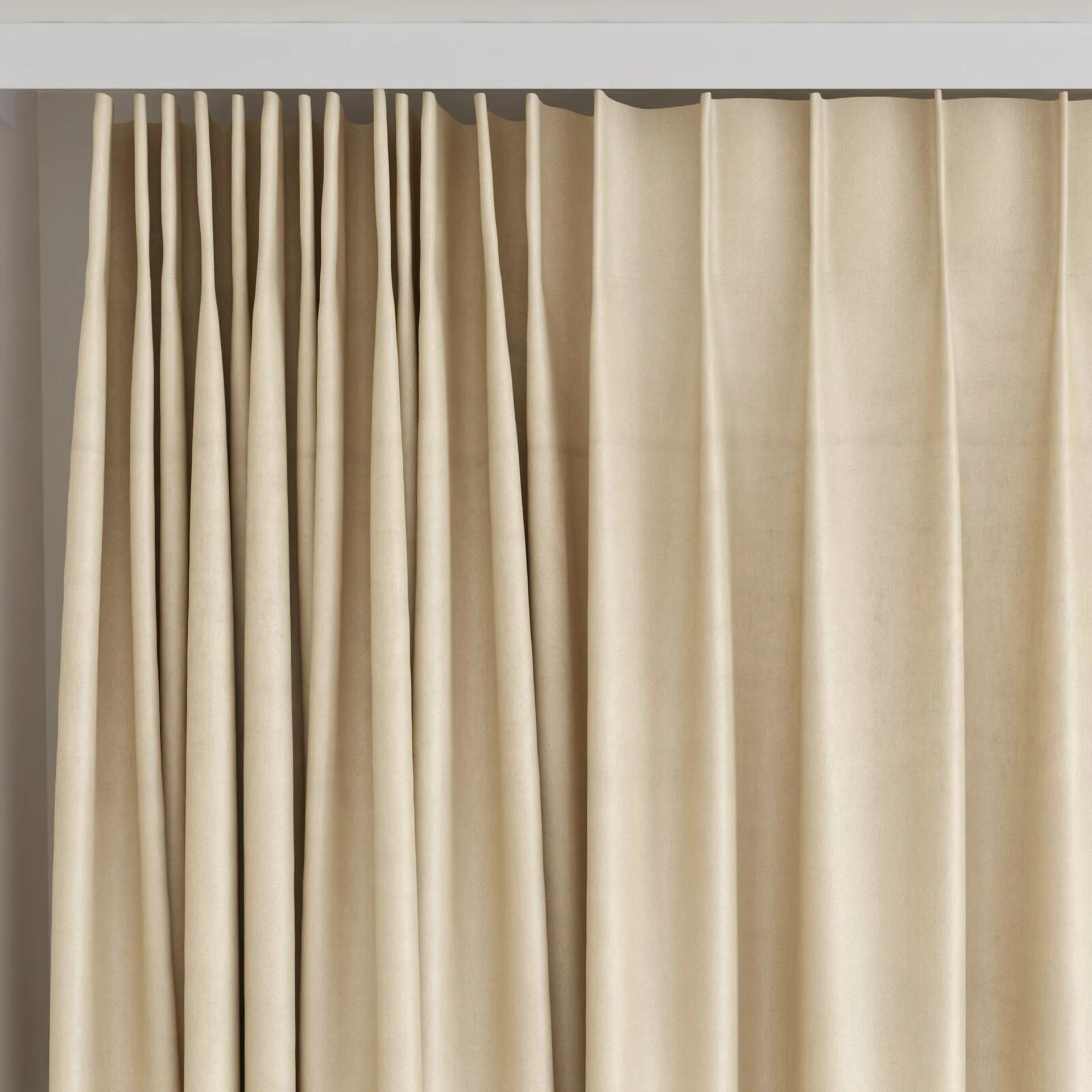 Top view of Warlock Sesame, on curtain rail
