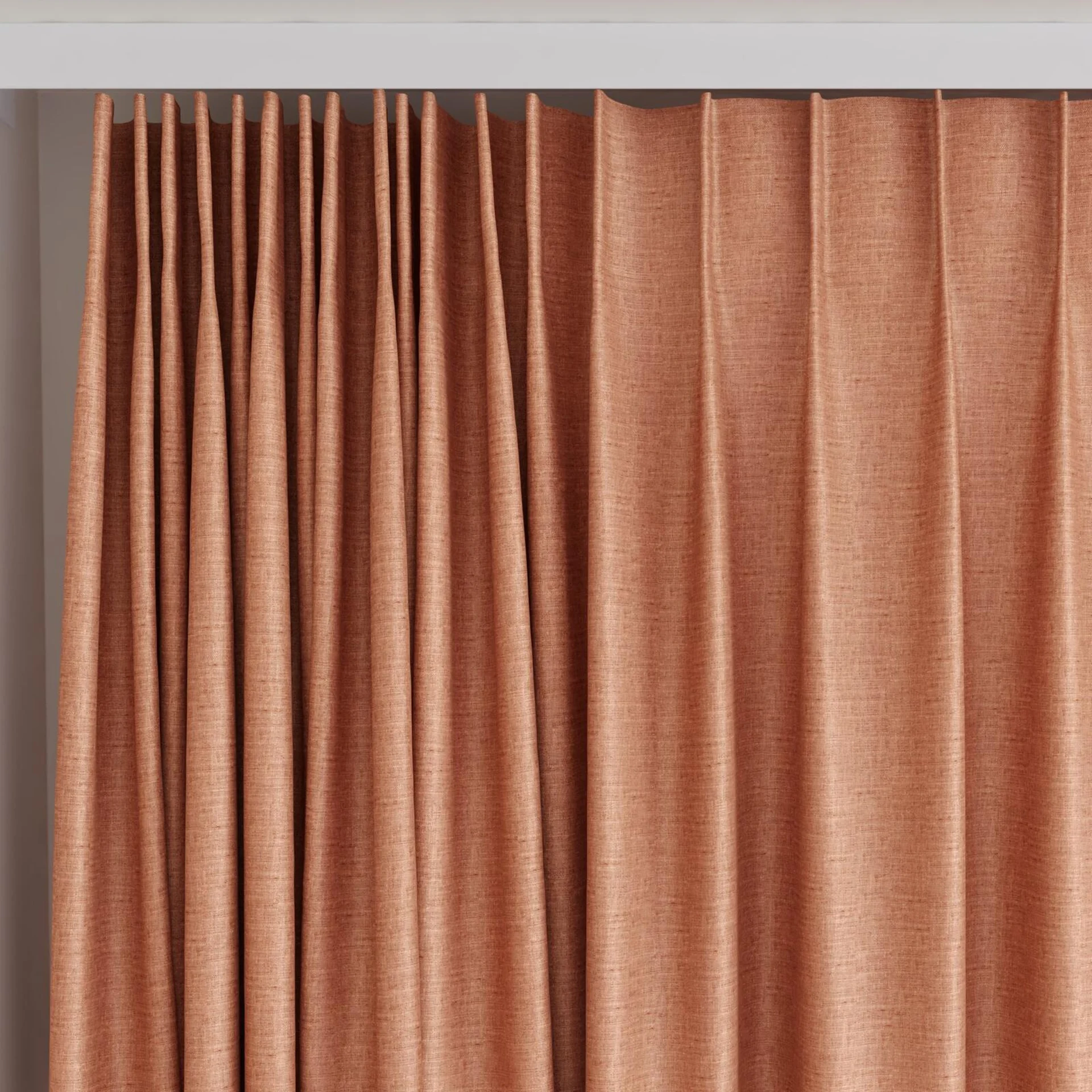 Top view of Tonto Spice, on curtain rail