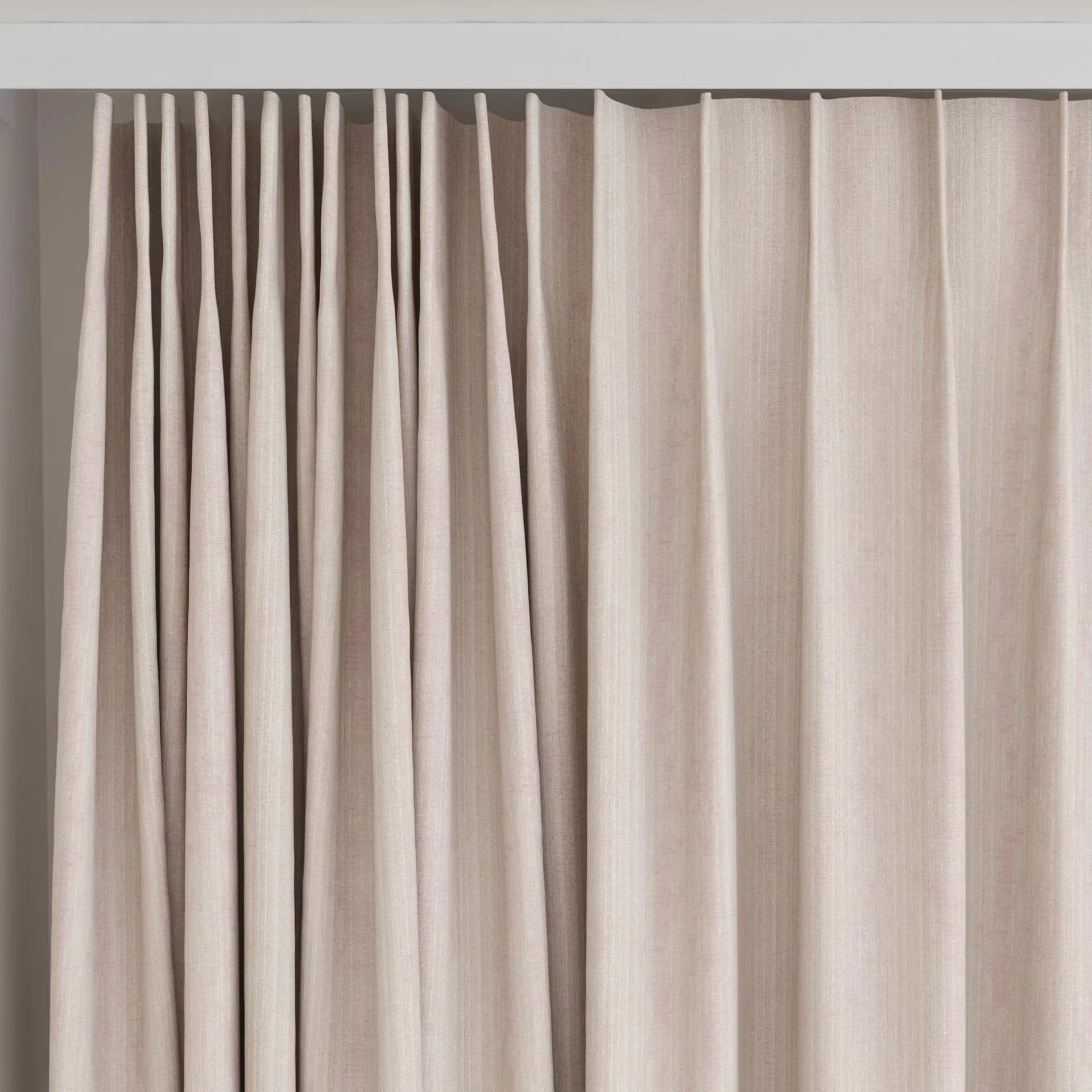 Top view of Stripia Blossom, on curtain rail
