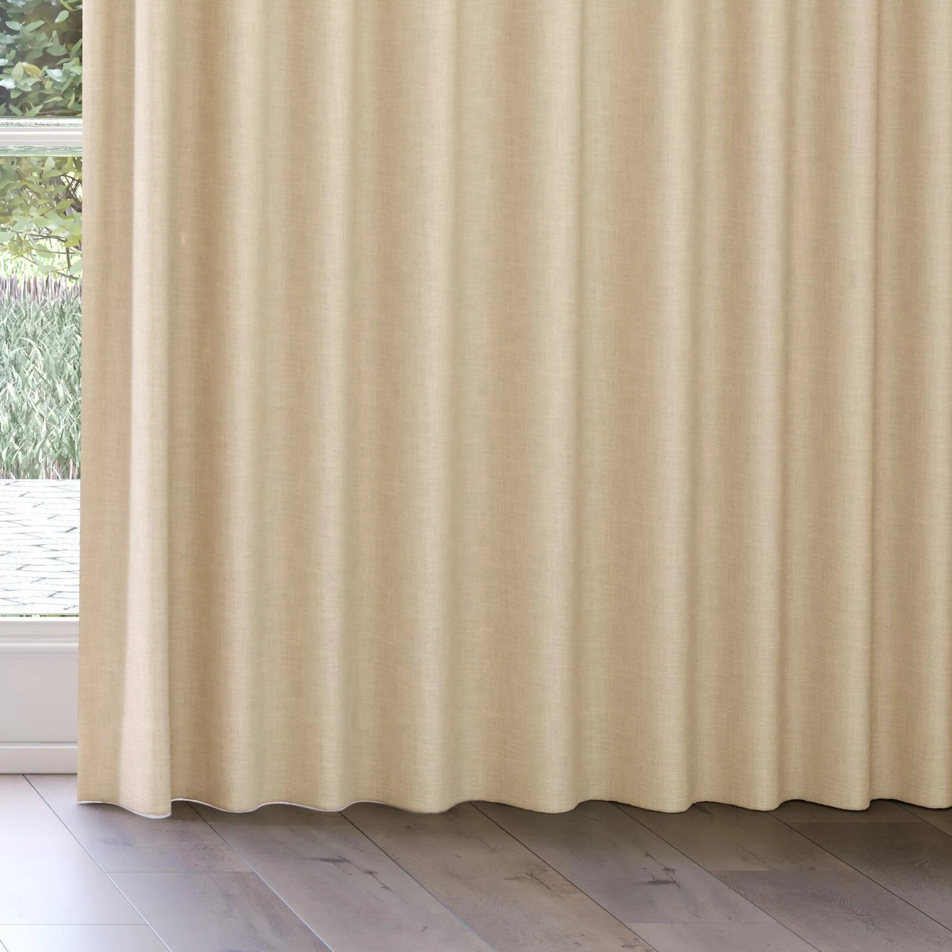 Bottom view of Mauritius Papyrus, on curtain rail