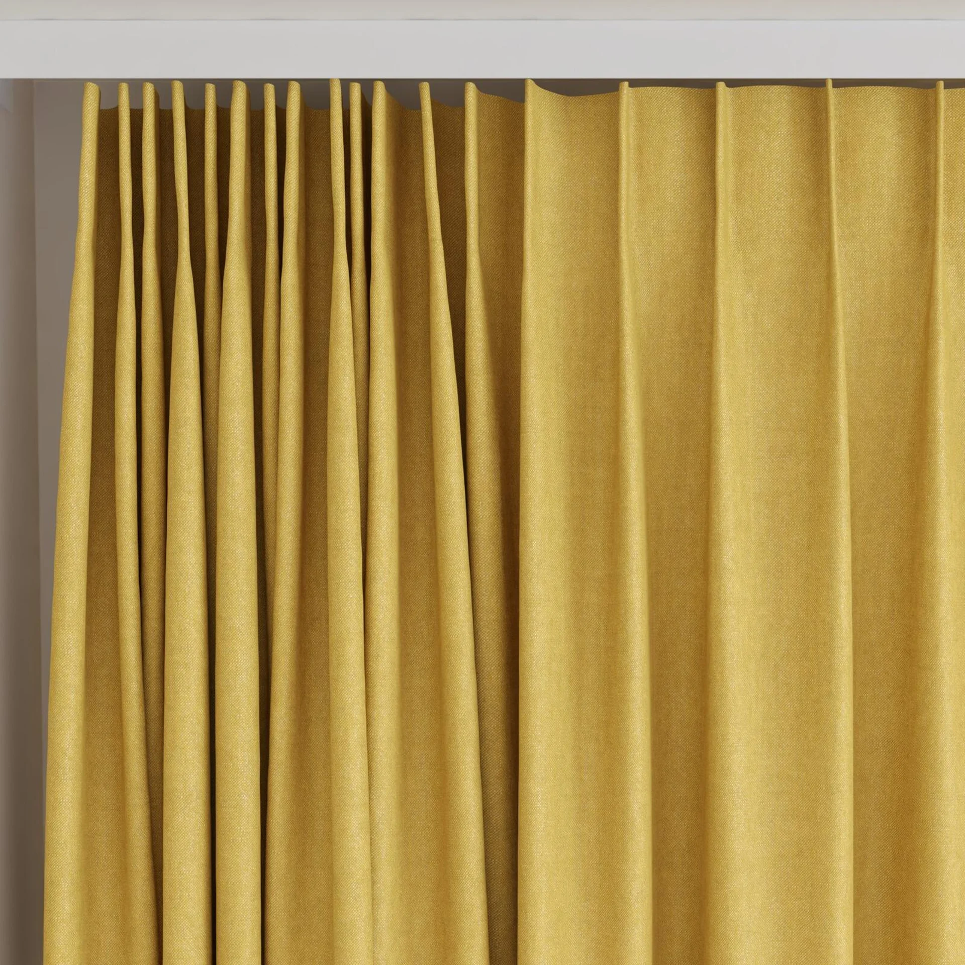 Top view of Rover Gold, on curtain rail