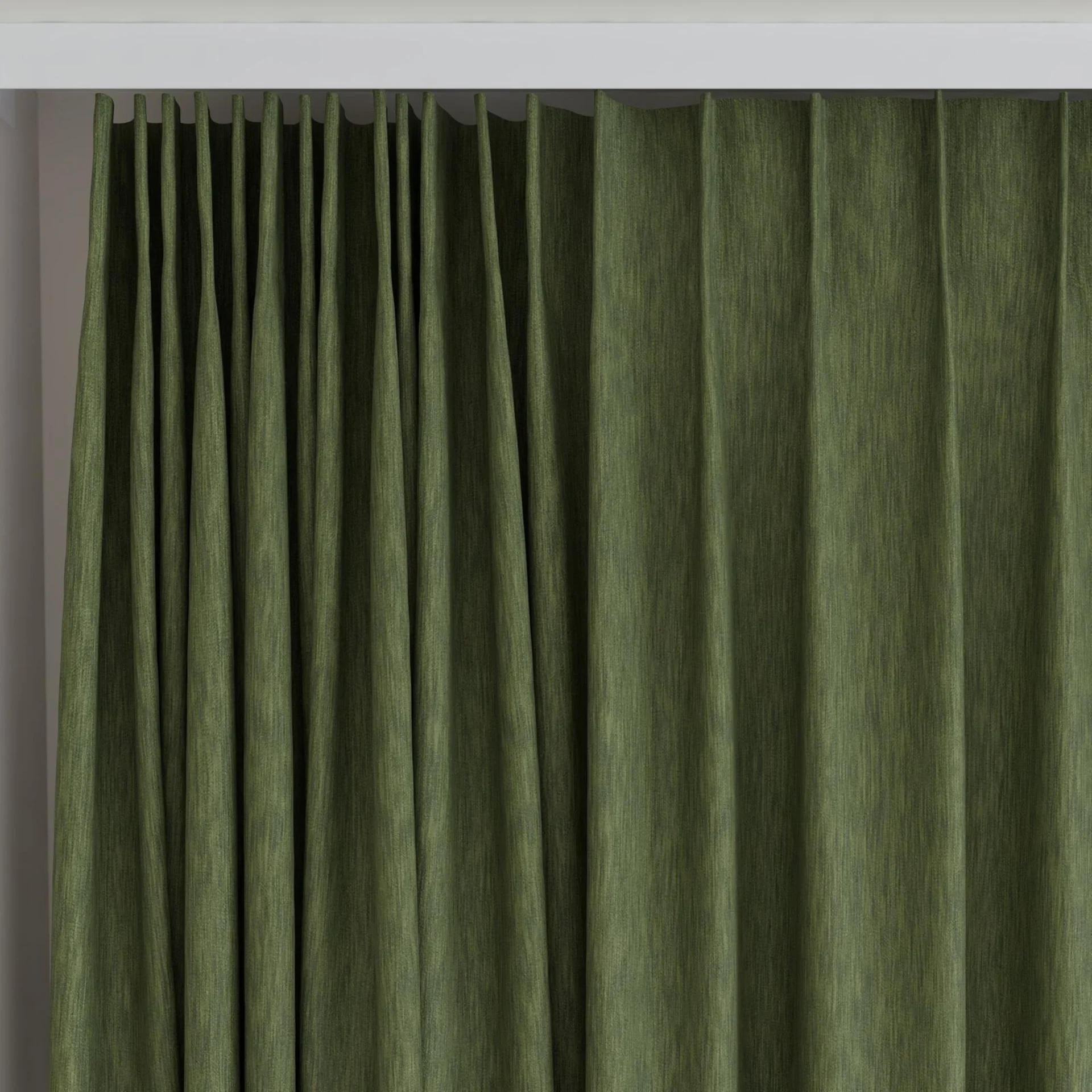 Top view of Tuxedo Cactus, on curtain rail