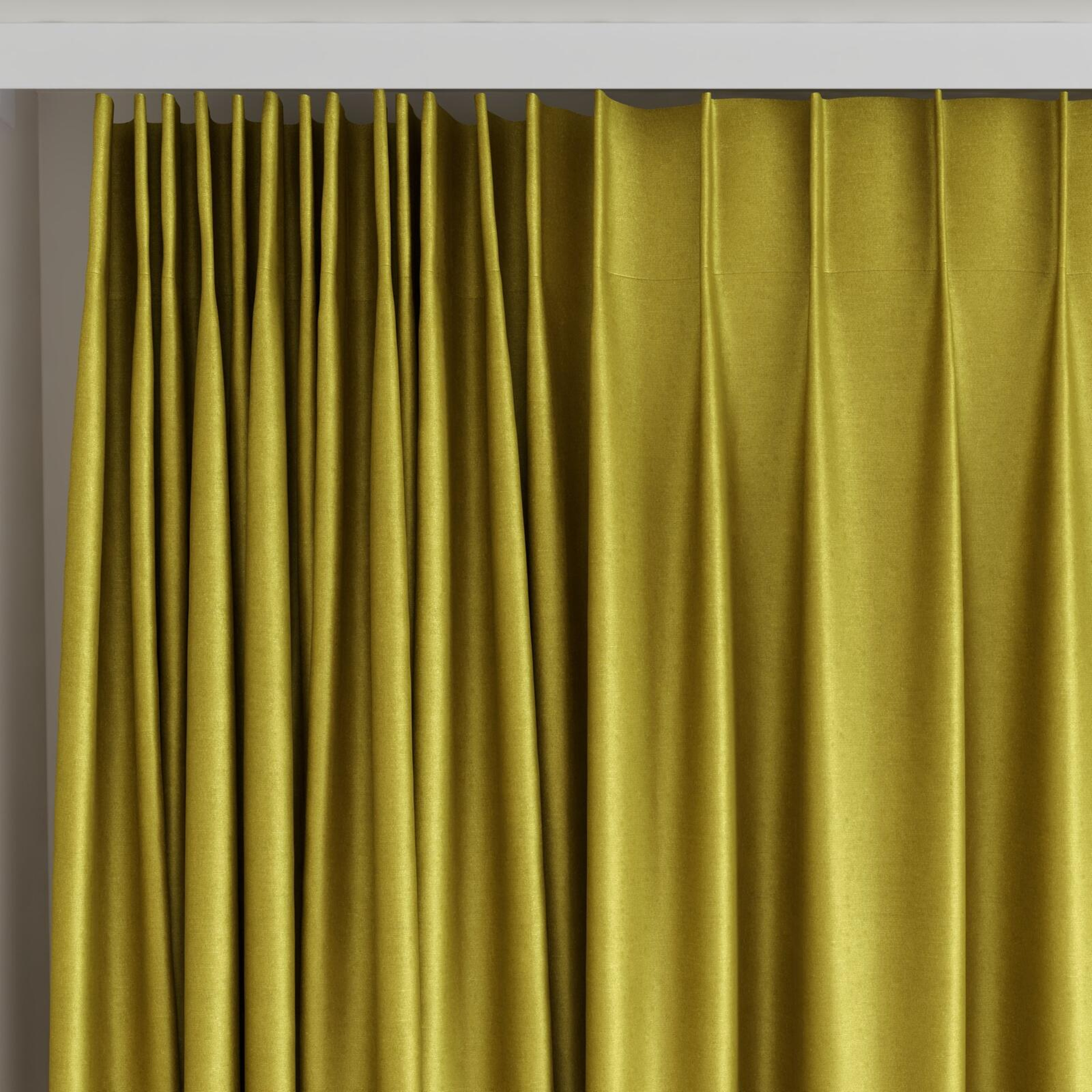 Top view of Mont Blanc Lizard, on curtain rail
