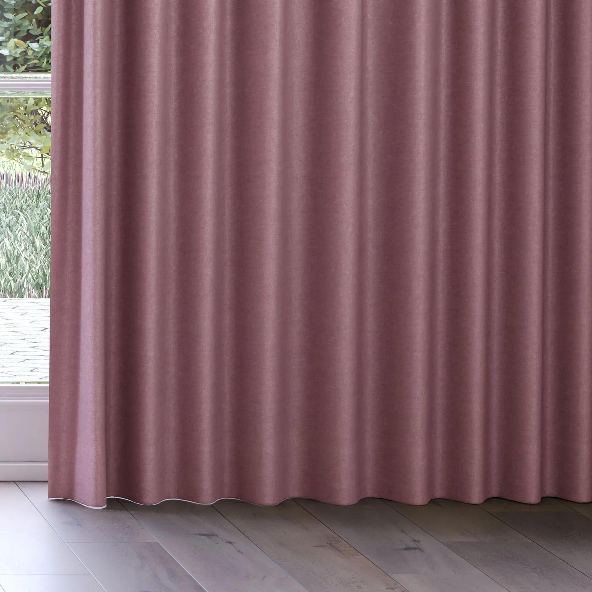 Bottom view of Drama Orchid, on curtain rail