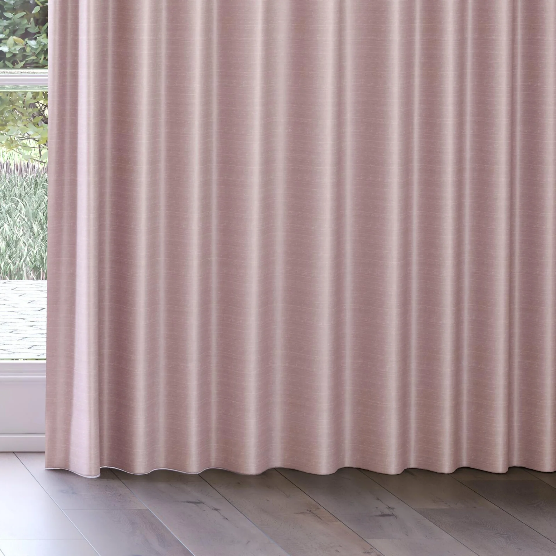 Bottom view of Silky Orchid, on curtain rail