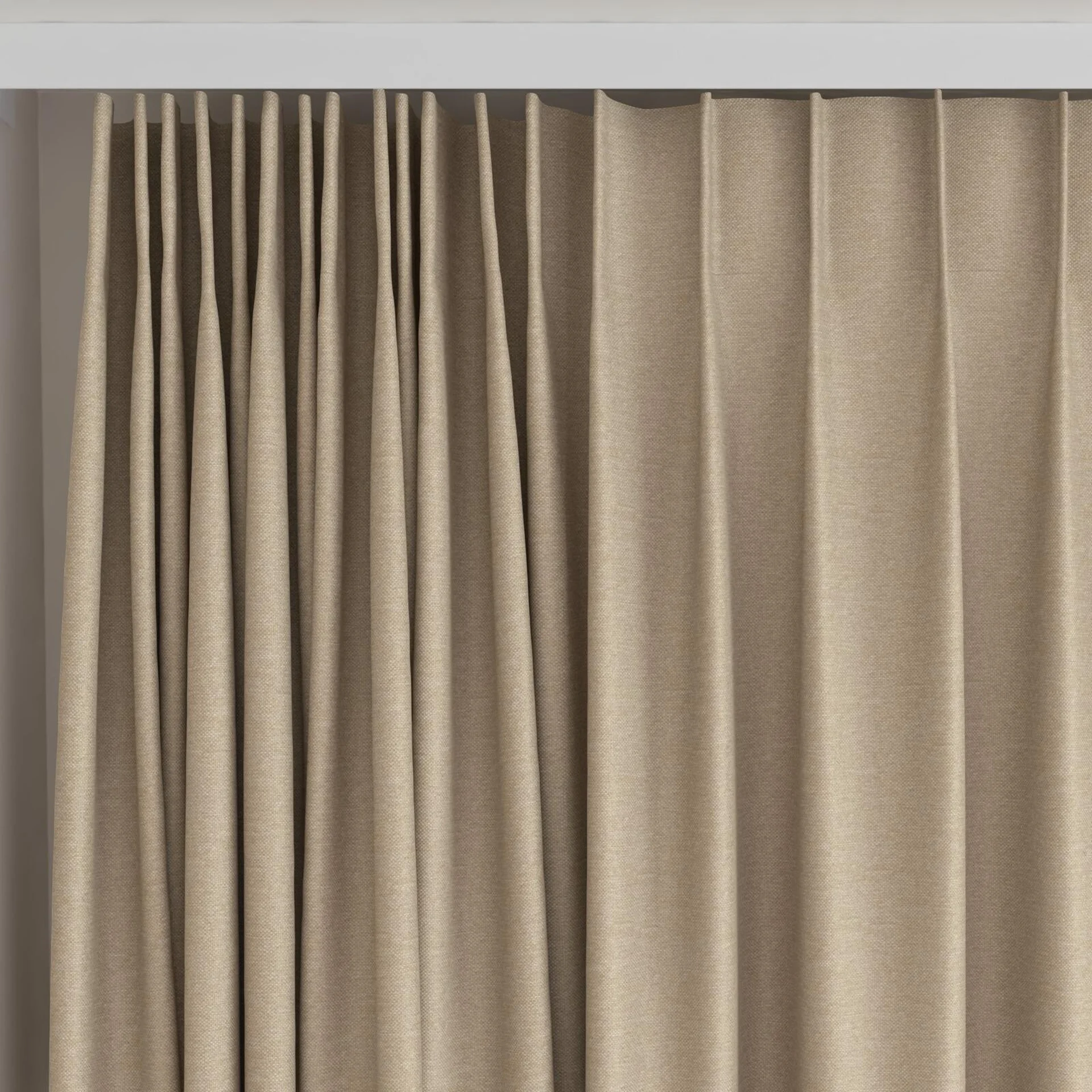 Top view of Duede Bark, on curtain rail