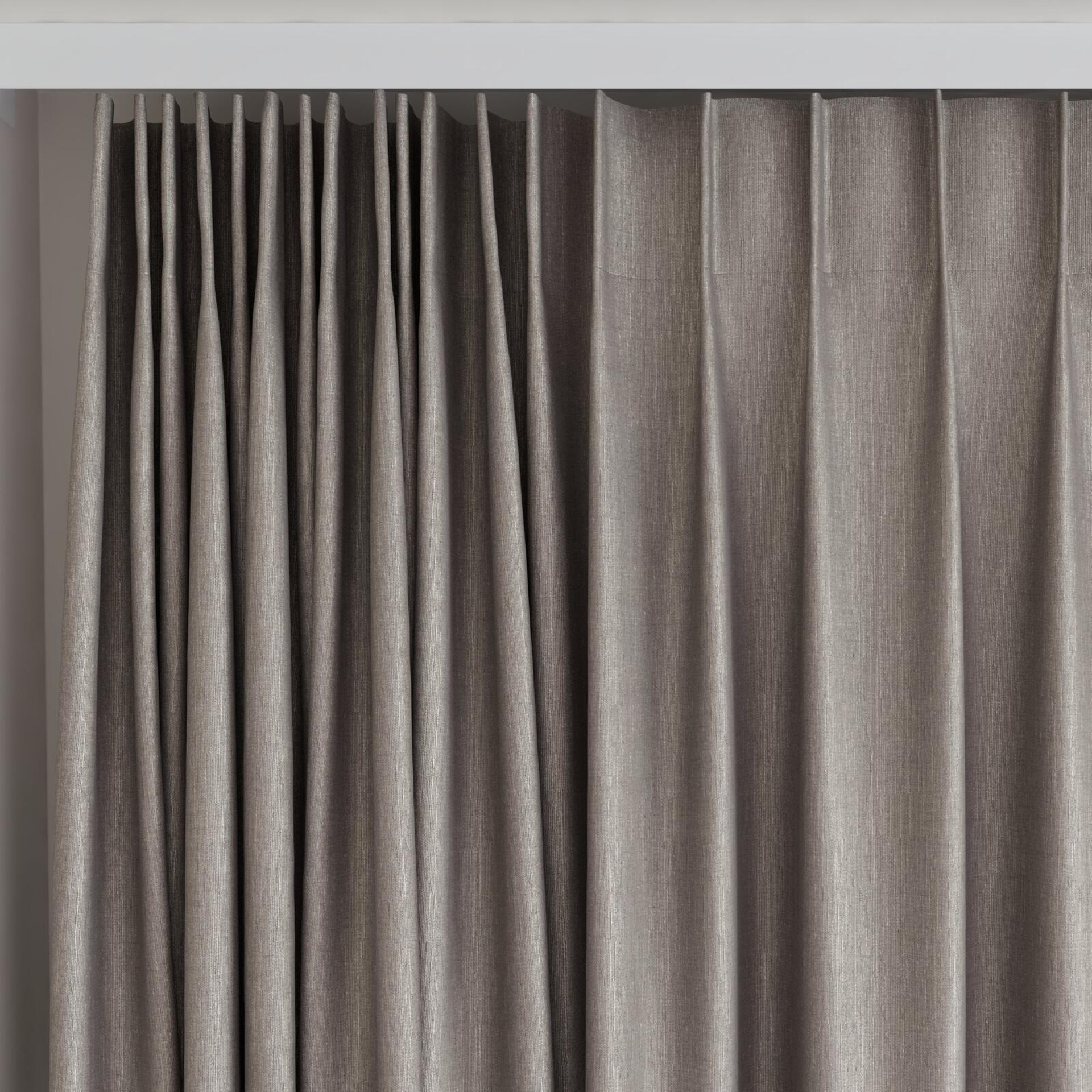 Top view of Bavaria Otter, on curtain rail