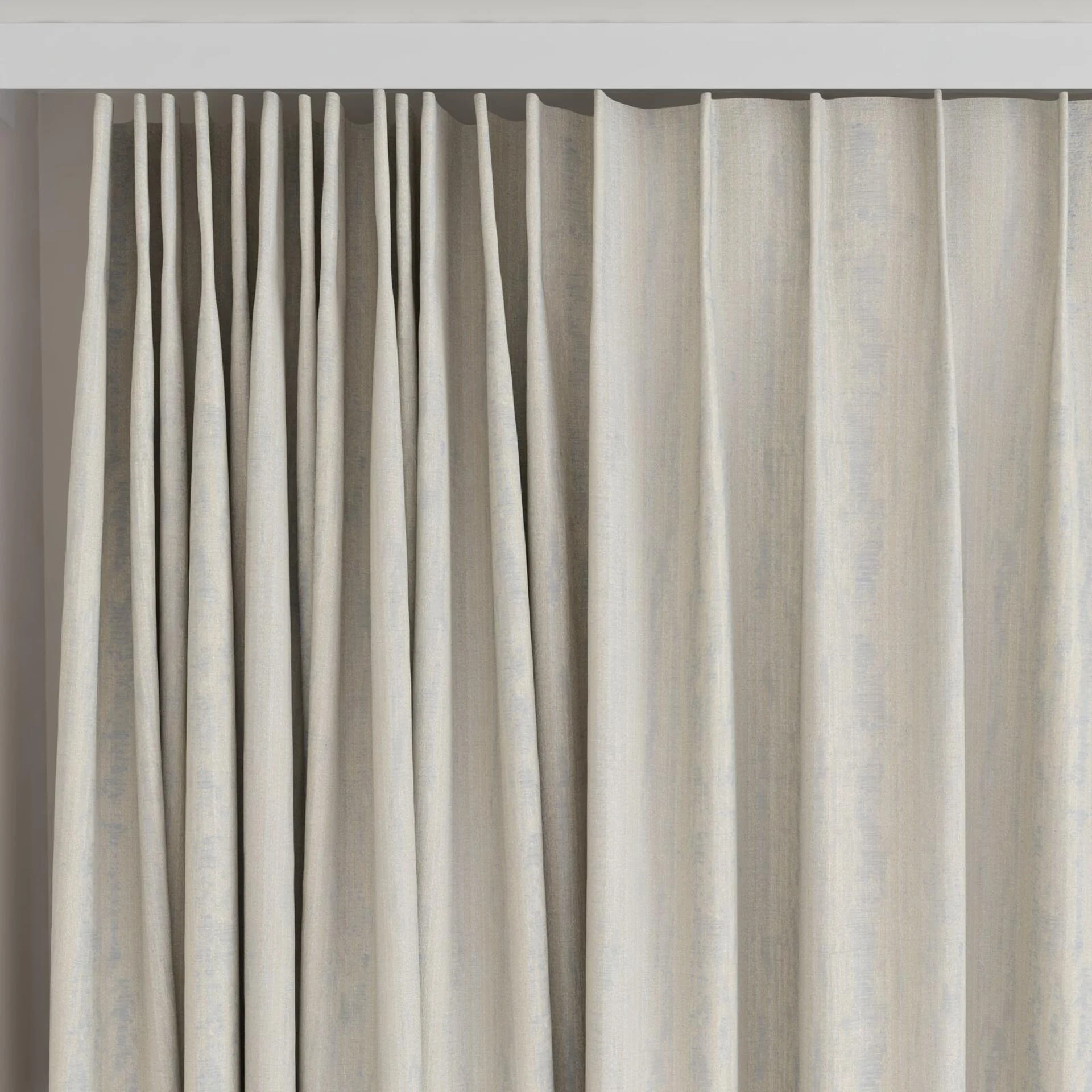 Top view of Stripia Gull, on curtain rail