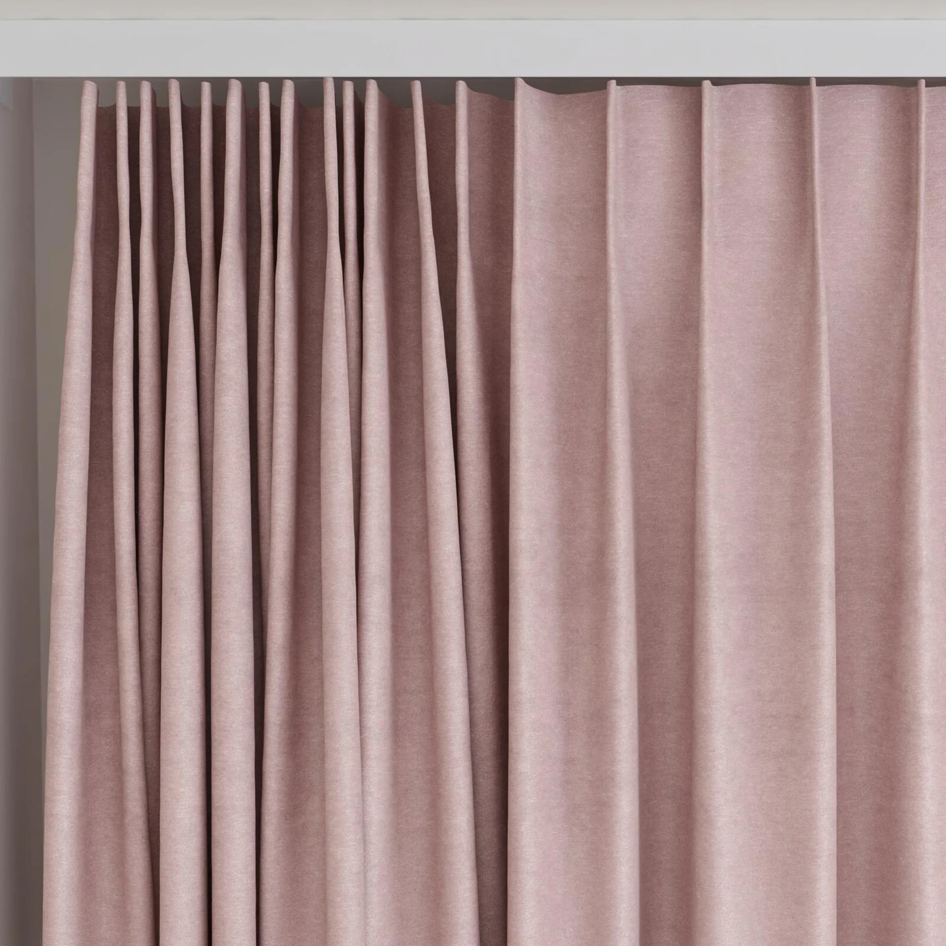 Top view of Baron Petal, on curtain rail