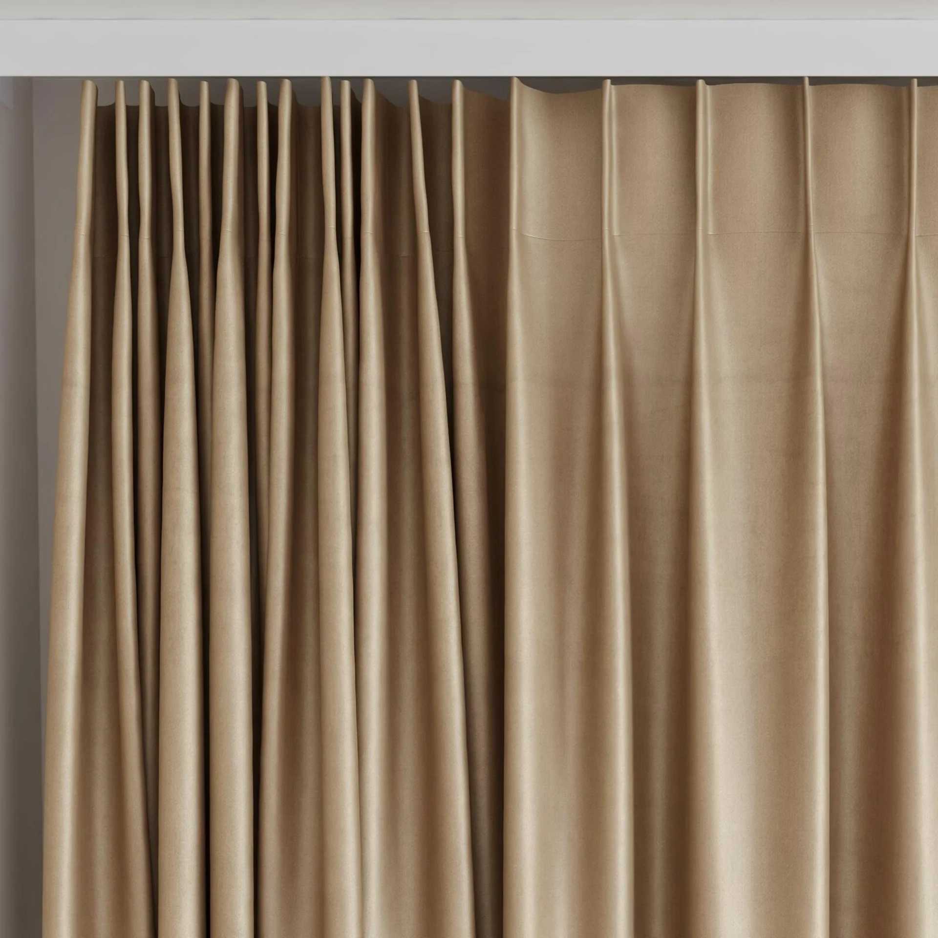 Top view of Warlock Mink, on curtain rail