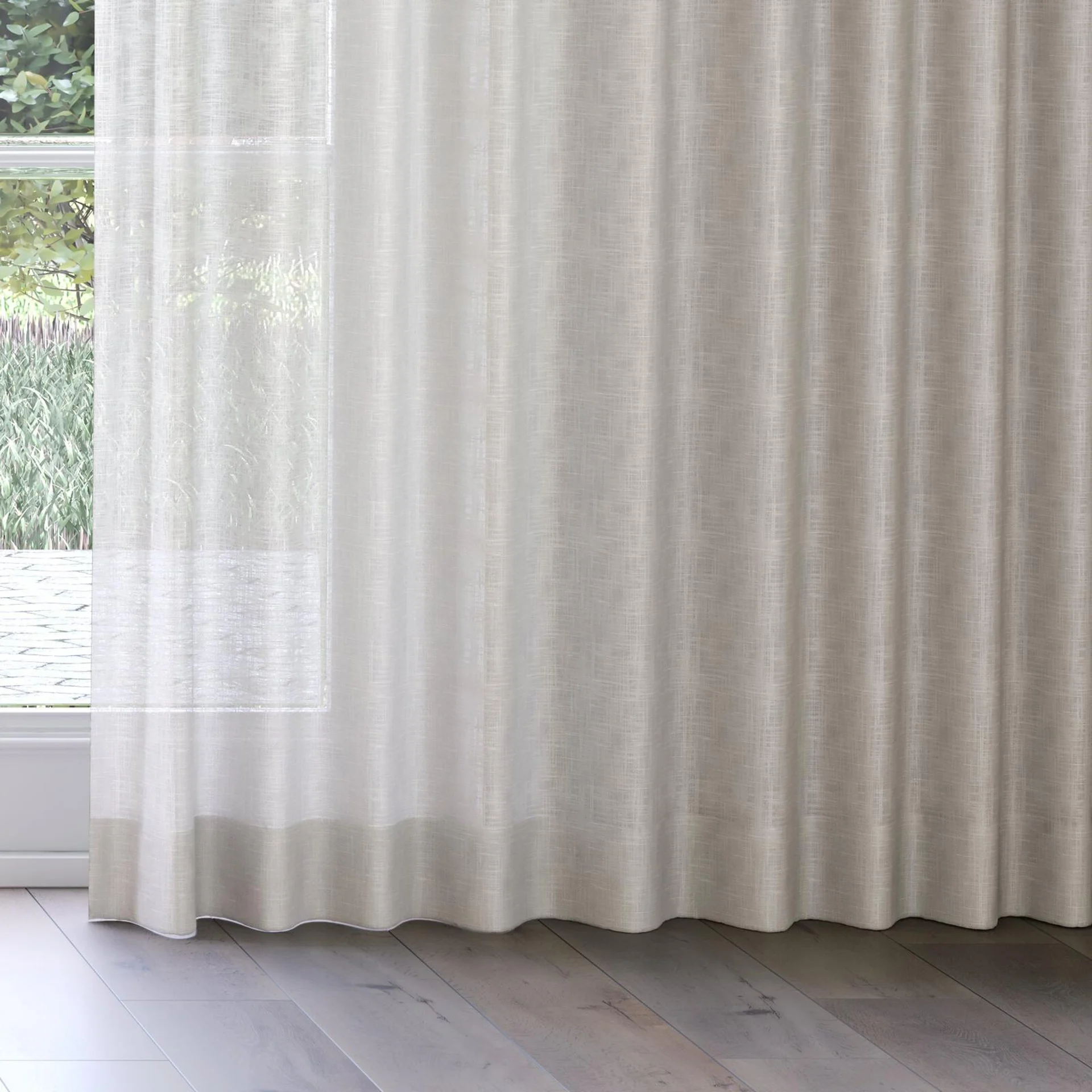 Bottom view of Charanga Nougat, on curtain rail