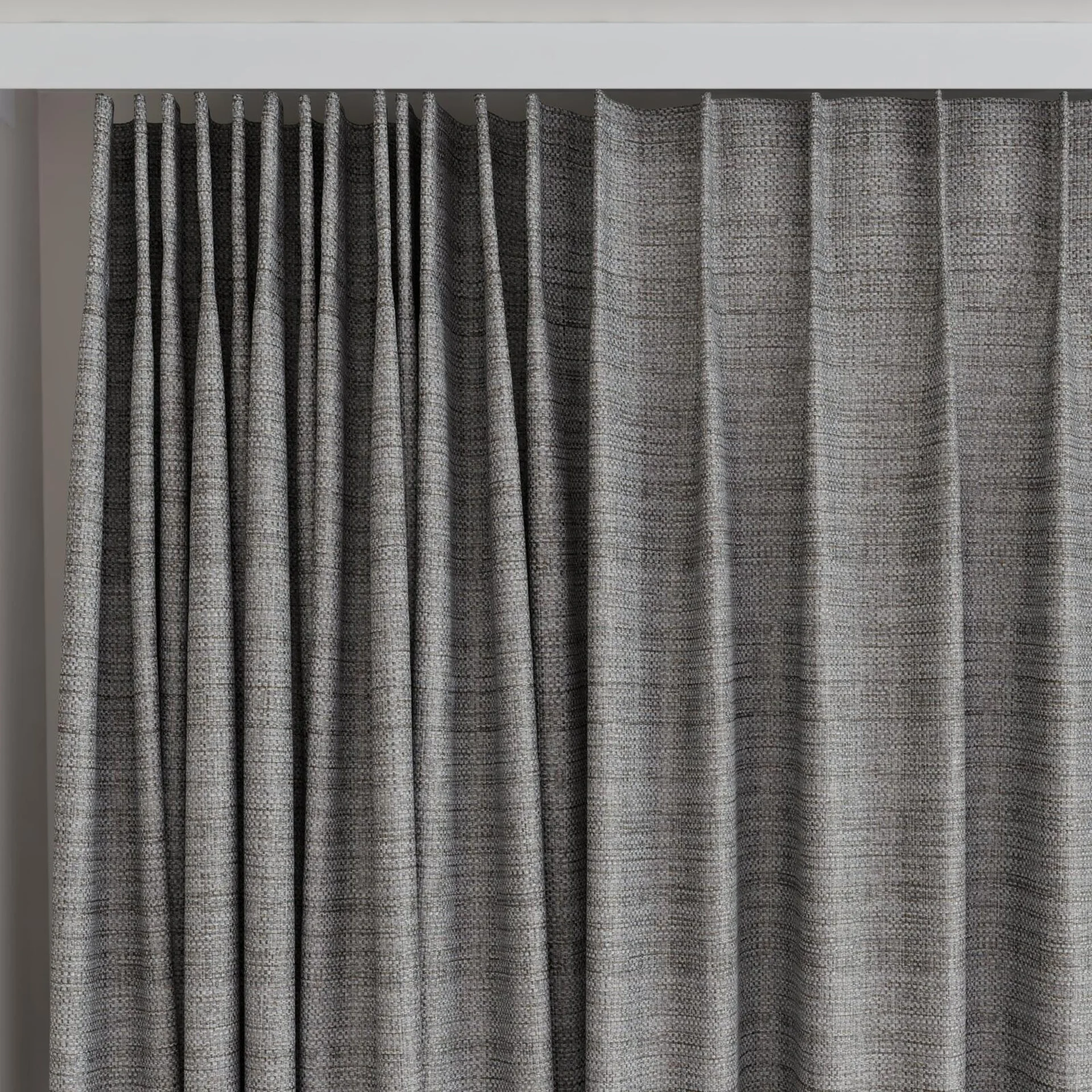 Top view of Latin Griffin, on curtain rail