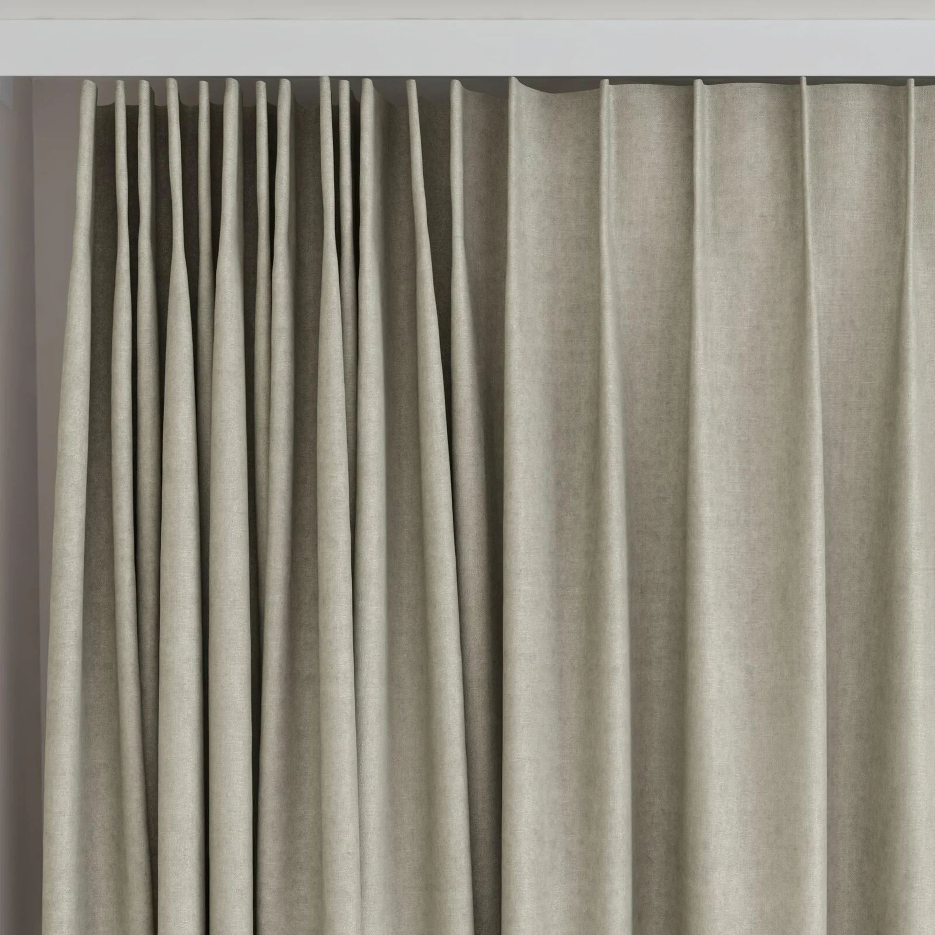 Top view of Monterey Peyote, on curtain rail