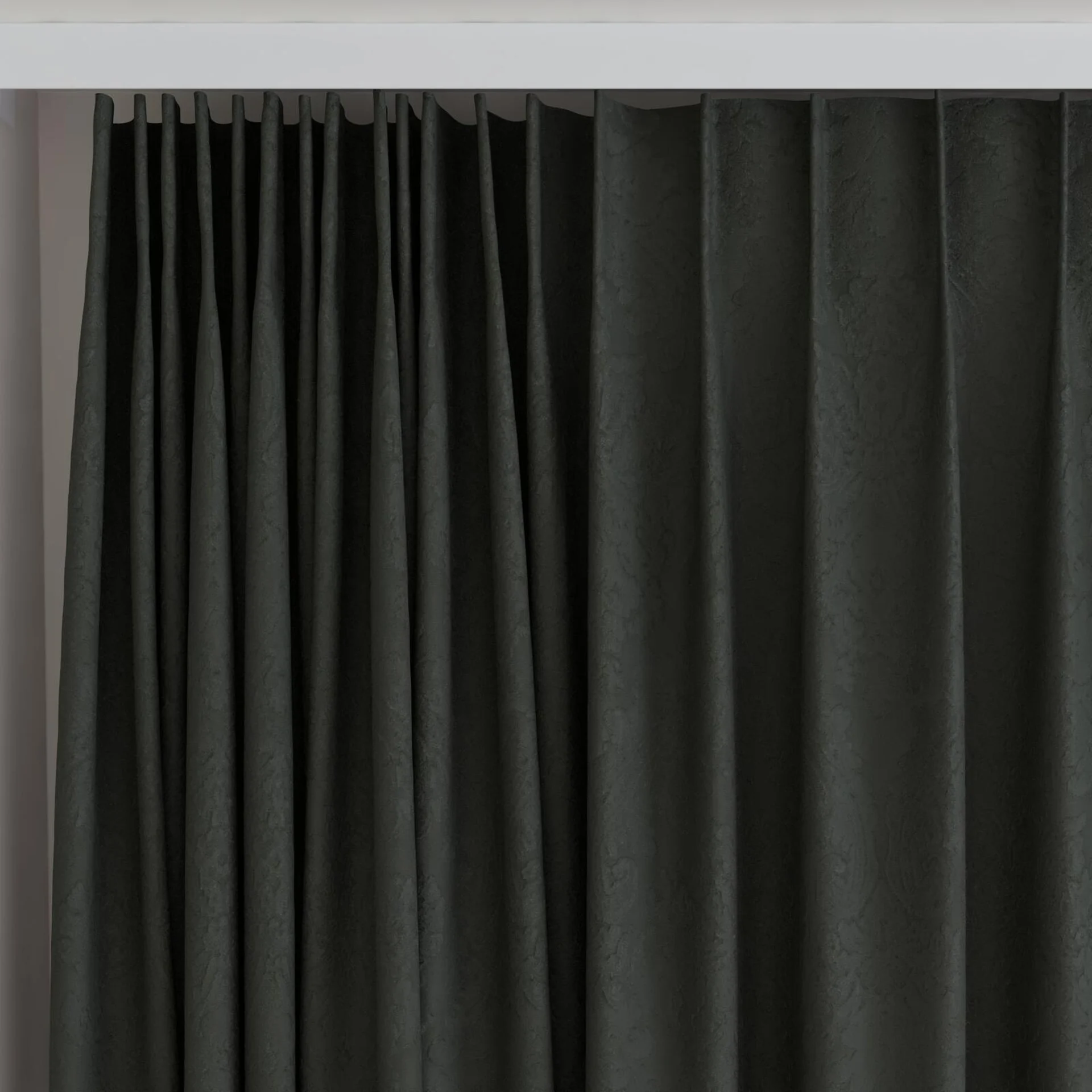 Top view of Gosh Beluga, on curtain rail