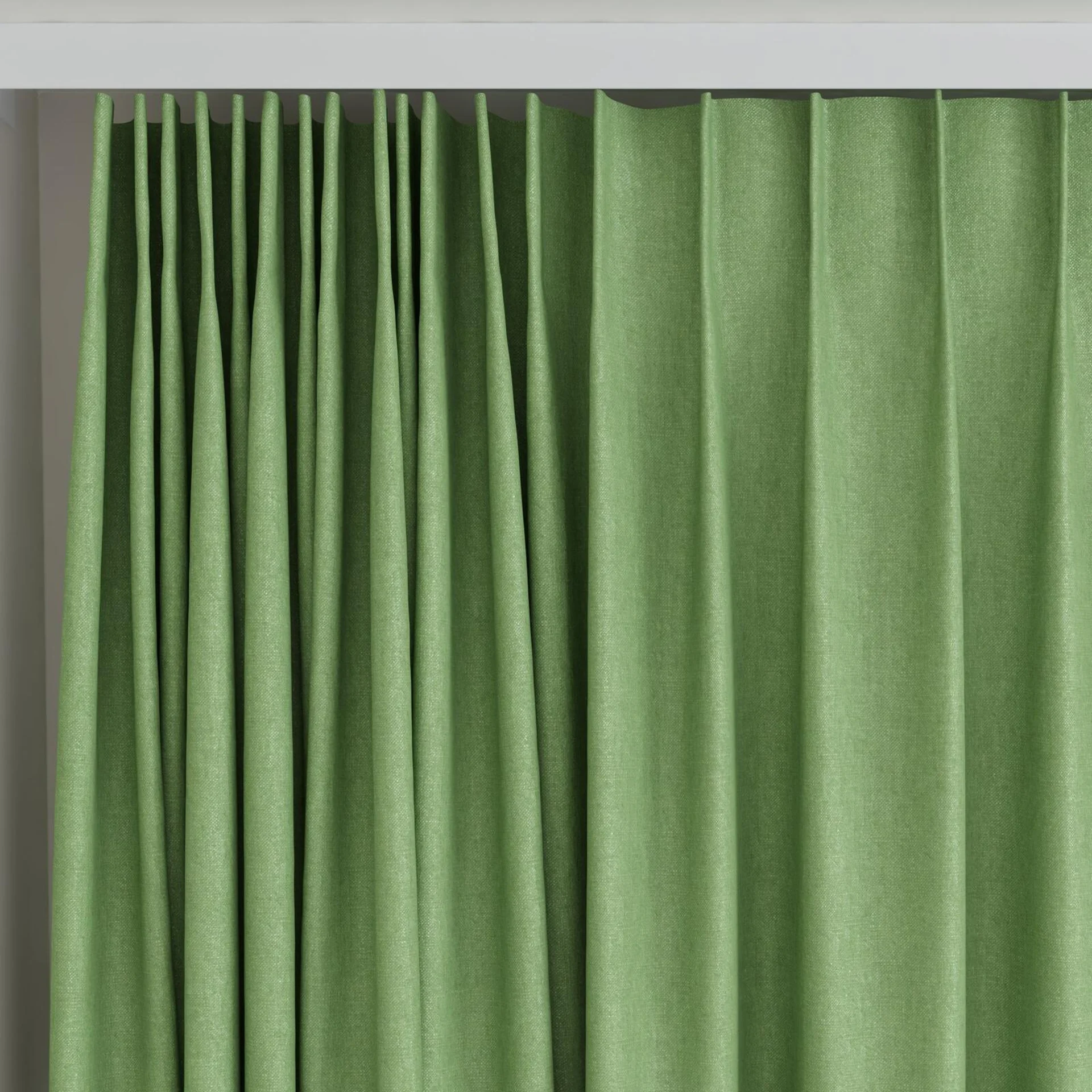 Top view of Rover Basil, on curtain rail
