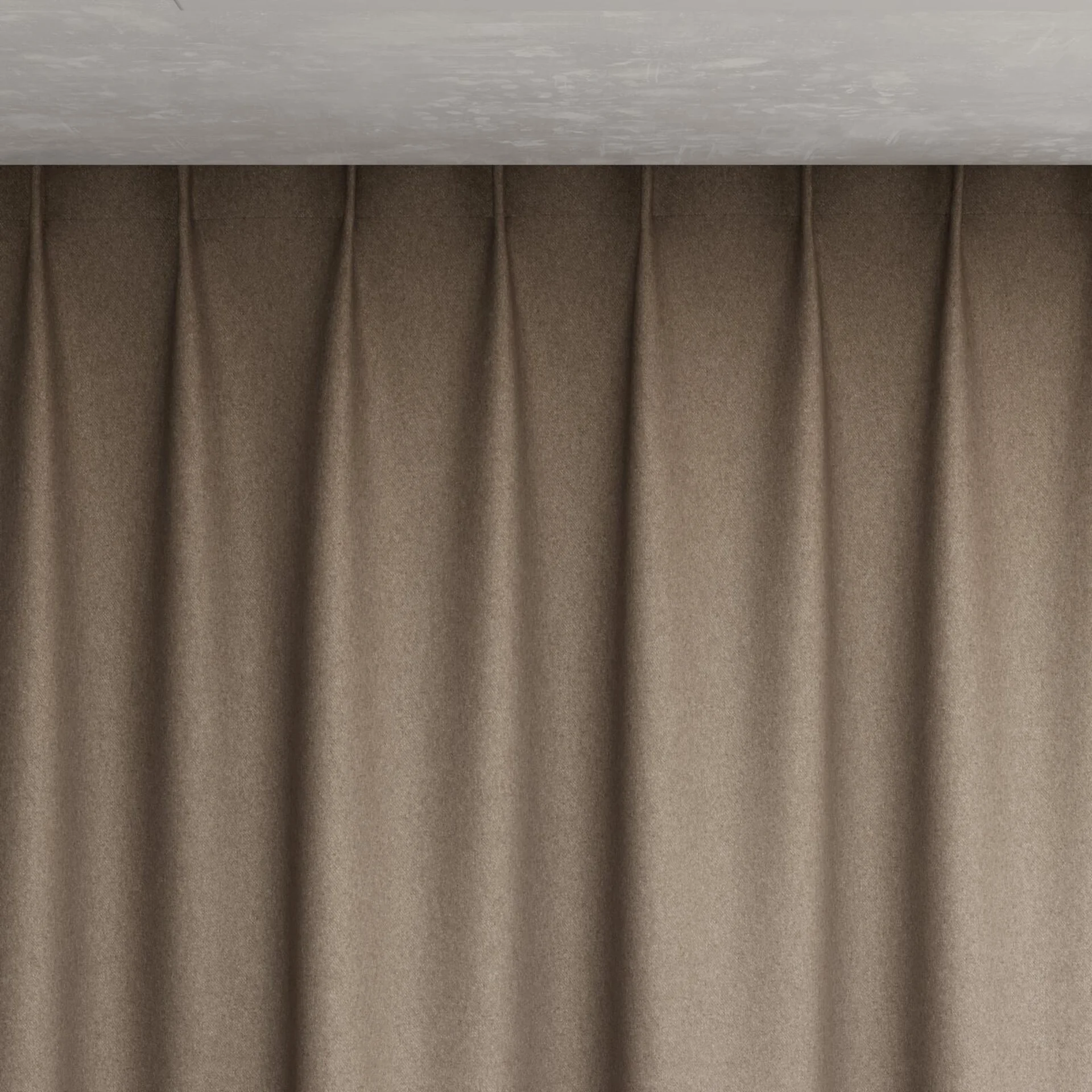 Top view of Woolly/Woolen Fossil, pinch pleat