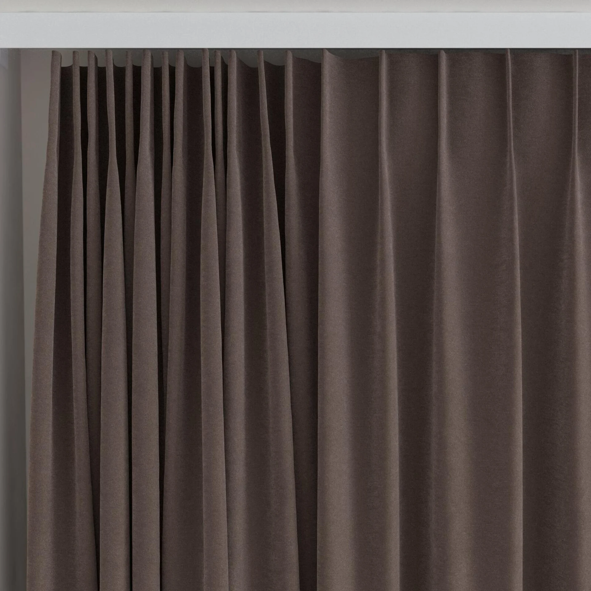 Top view of Moon Chocolate, on curtain rail