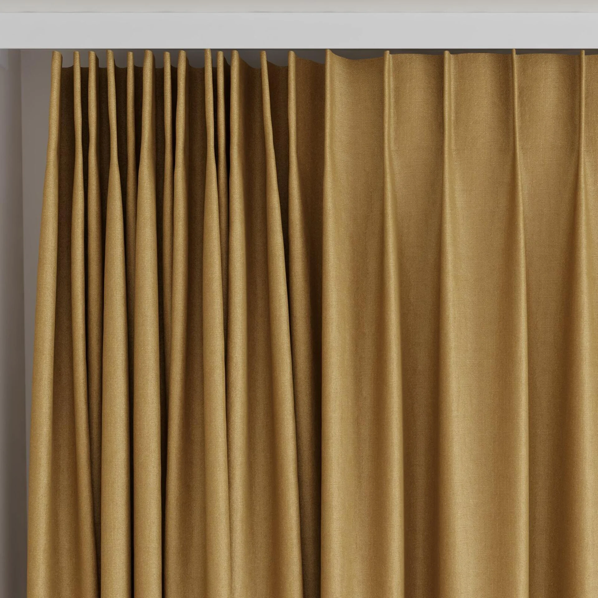 Top view of Eternal Turmeric, on curtain rail