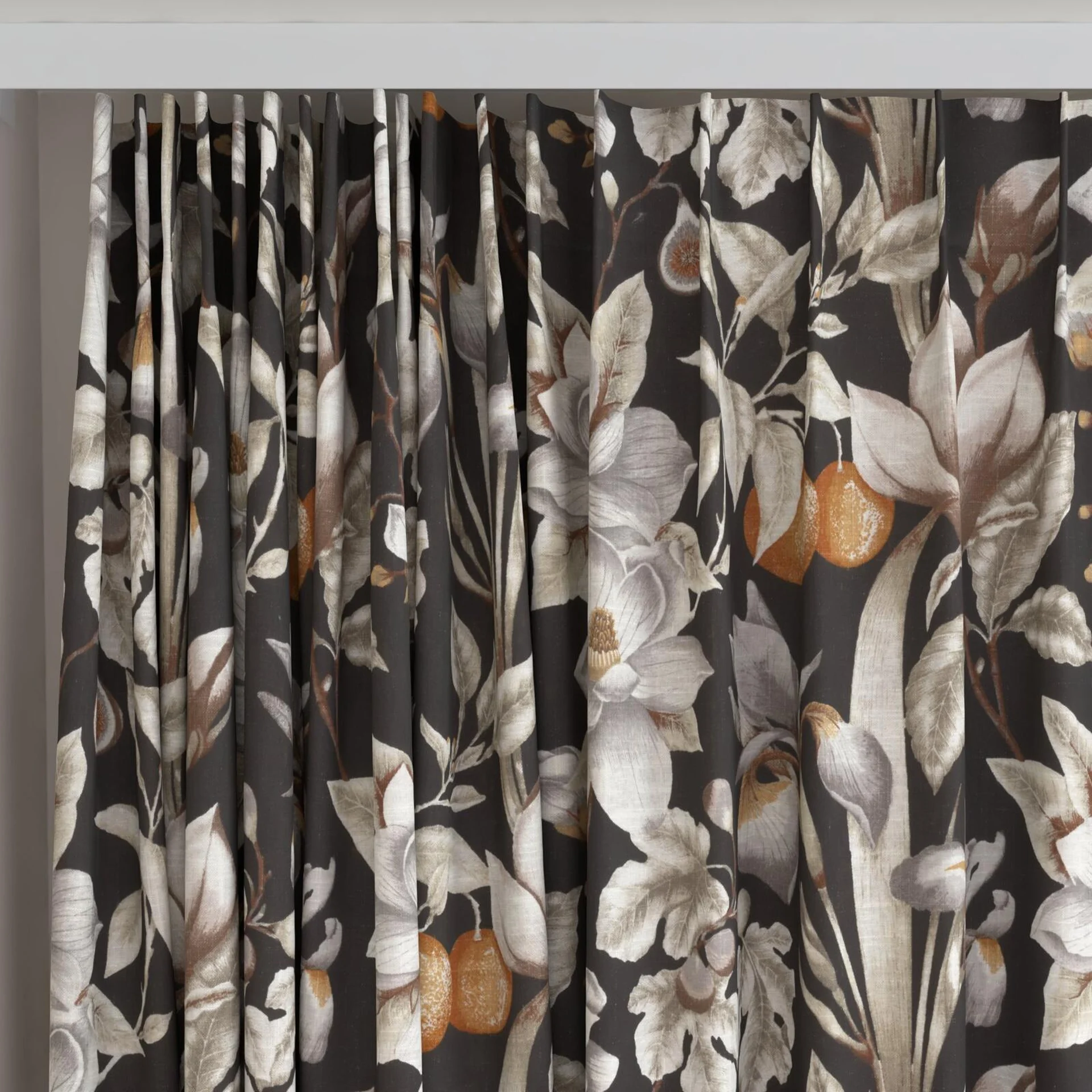 Top view of Botanist Sepia, on curtain rail
