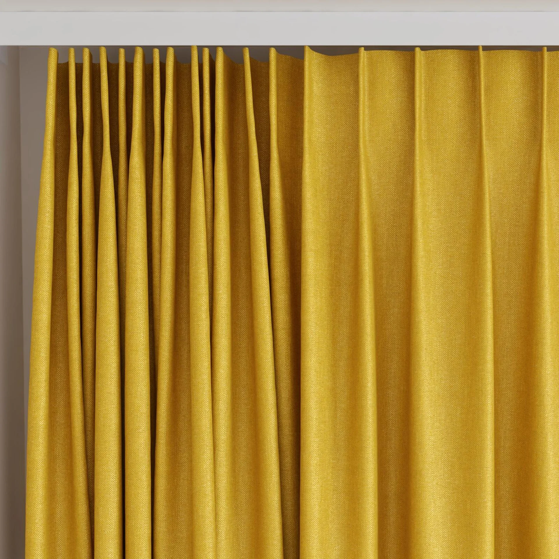 Top view of Bronco Gold, on curtain rail
