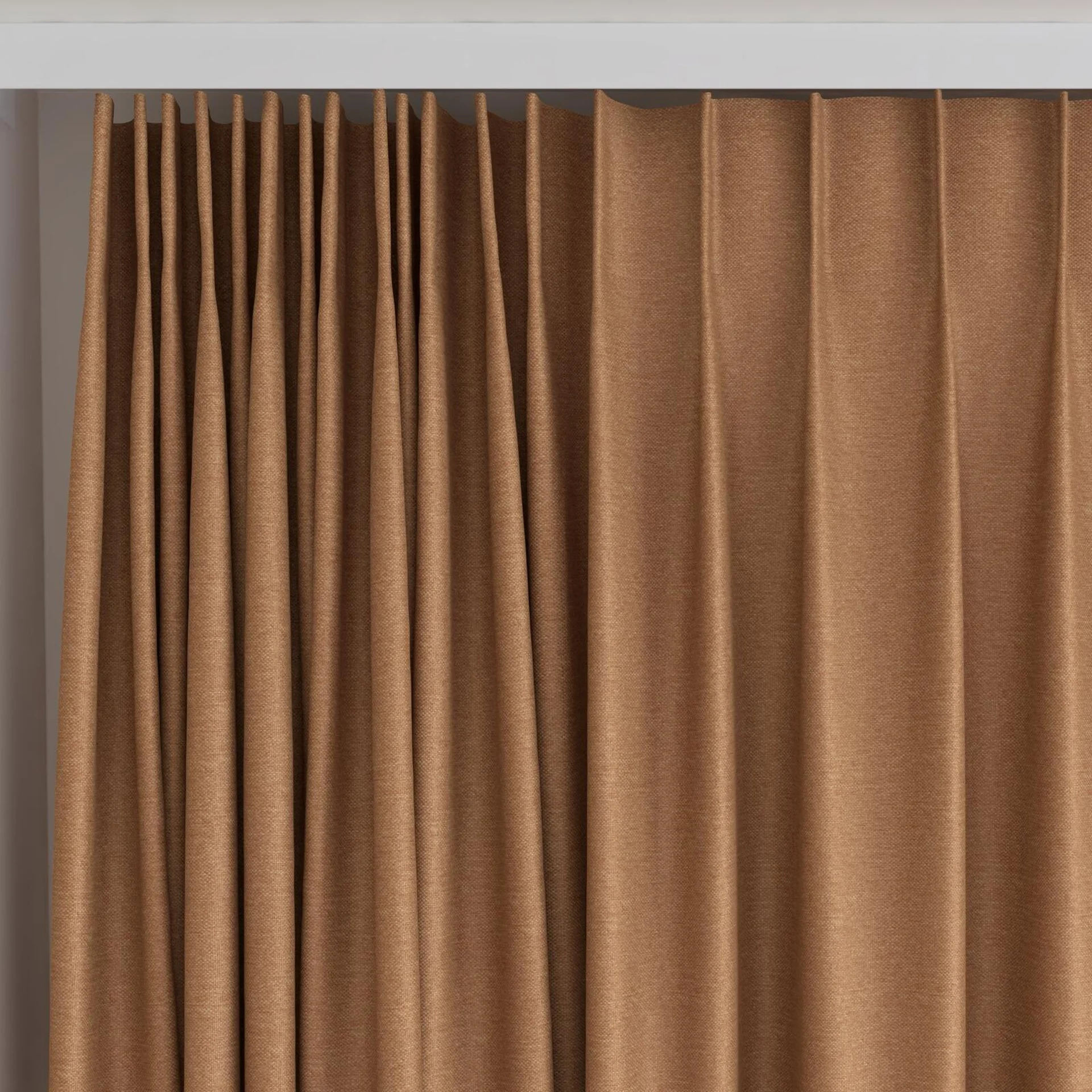 Top view of Duede Fox, on curtain rail