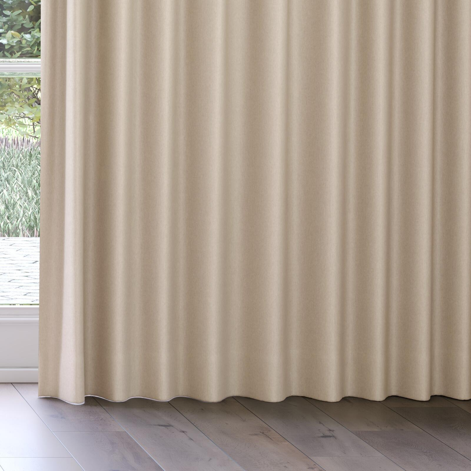 Bottom view of Woolly/Woolen Sesame, on curtain rail