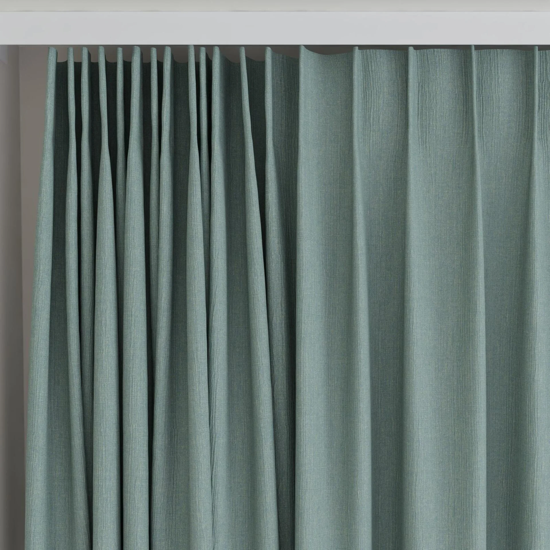 Top view of Northstar Beetle, on curtain rail