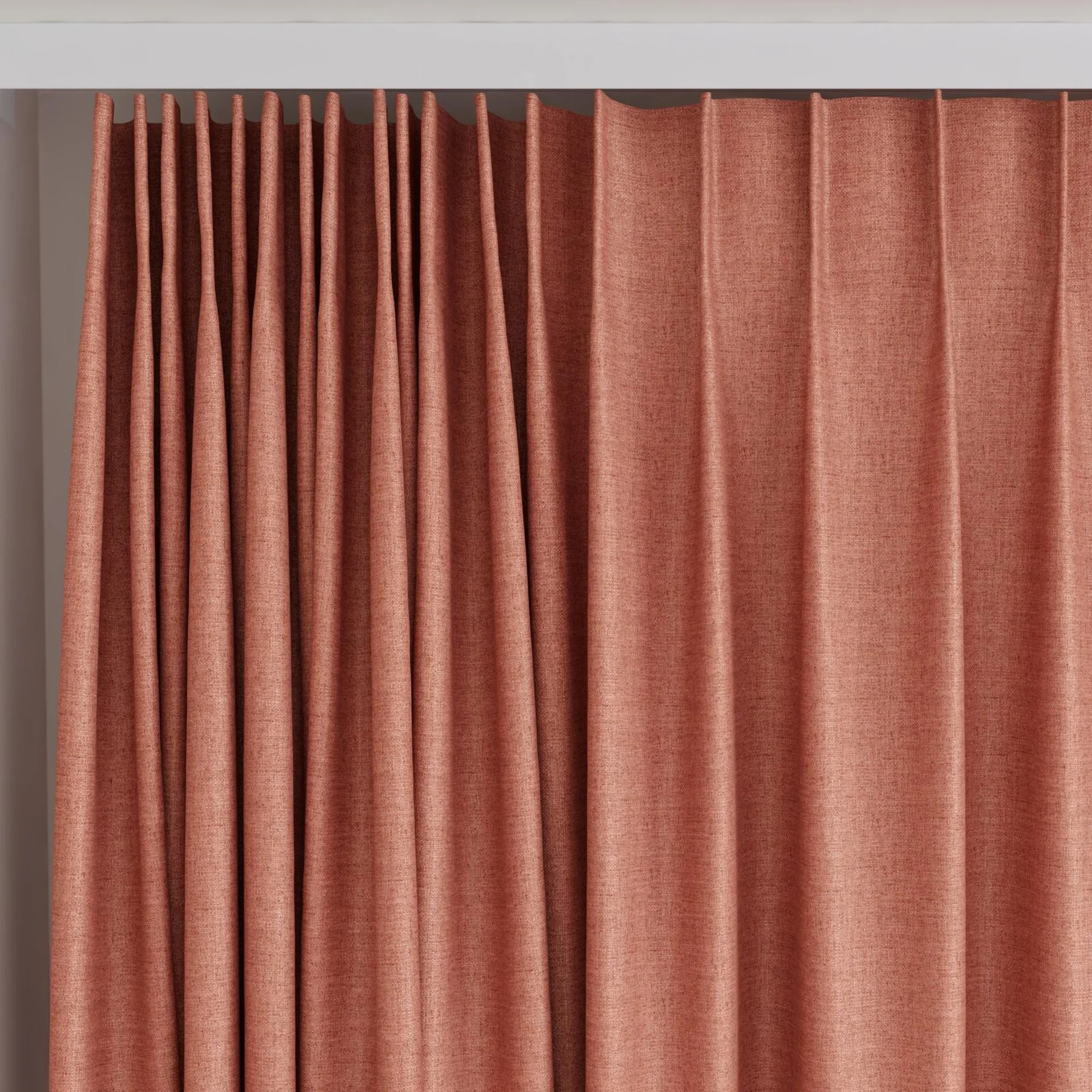 Top view of Frisco Spice, on curtain rail