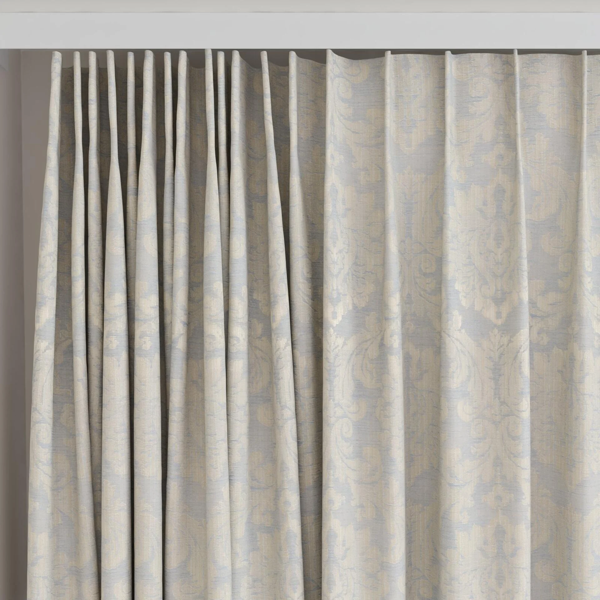 Top view of Damian Gull, on curtain rail