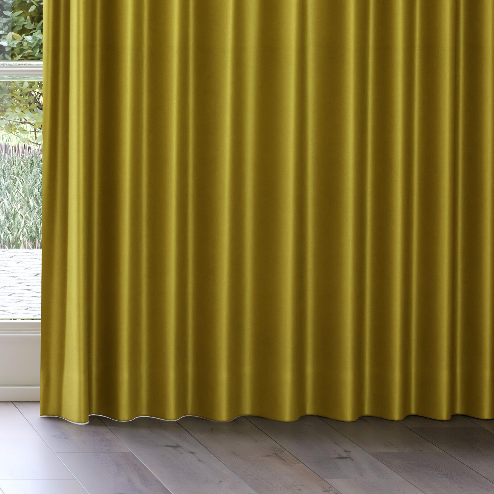 Bottom view of Mont Blanc Lizard, on curtain rail