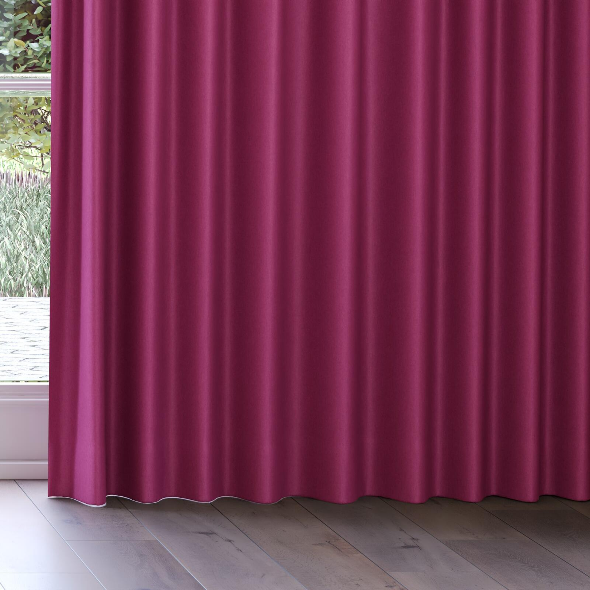 Bottom view of Woolly/Woolen Beetroot, on curtain rail