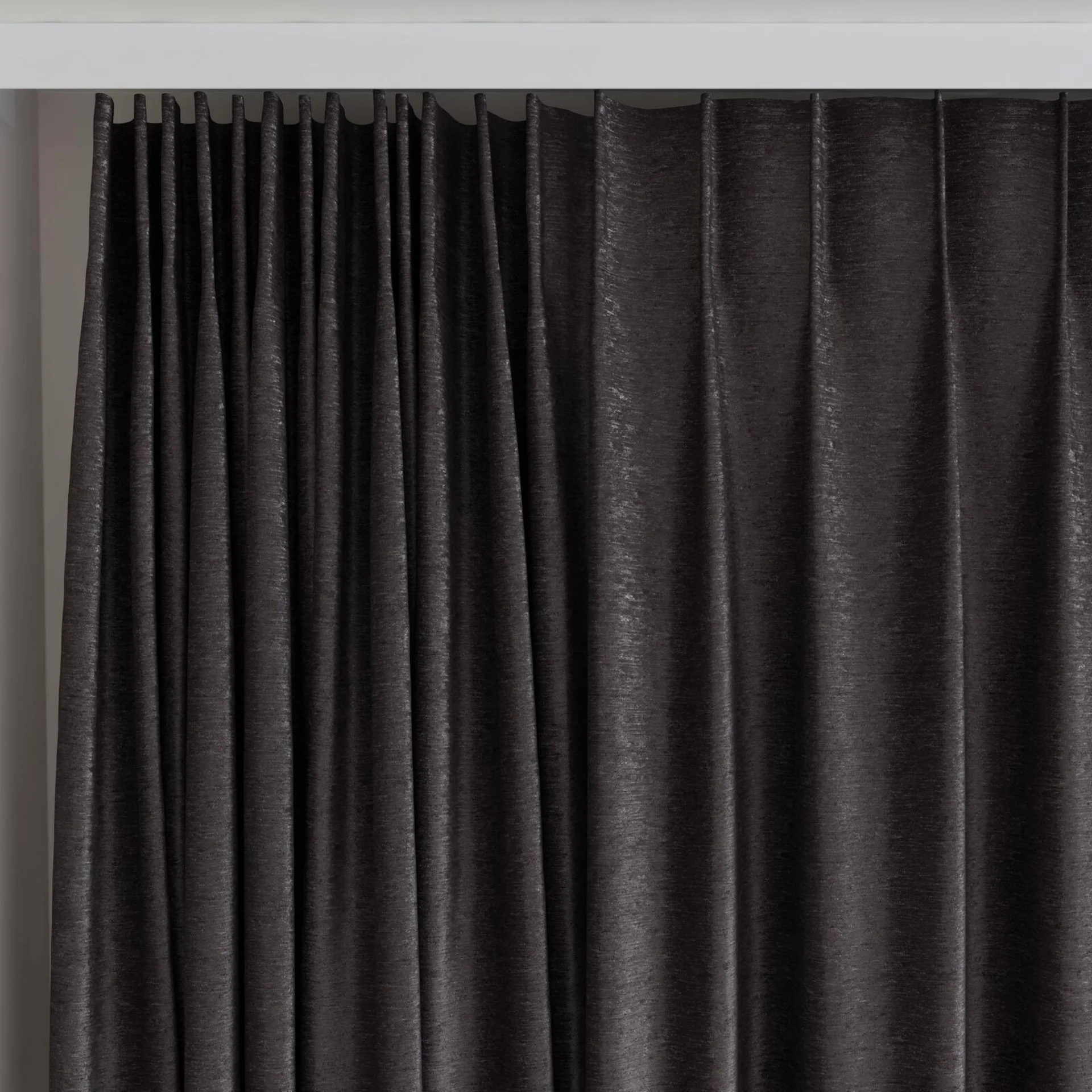 Top view of Lambada Mustang, on curtain rail