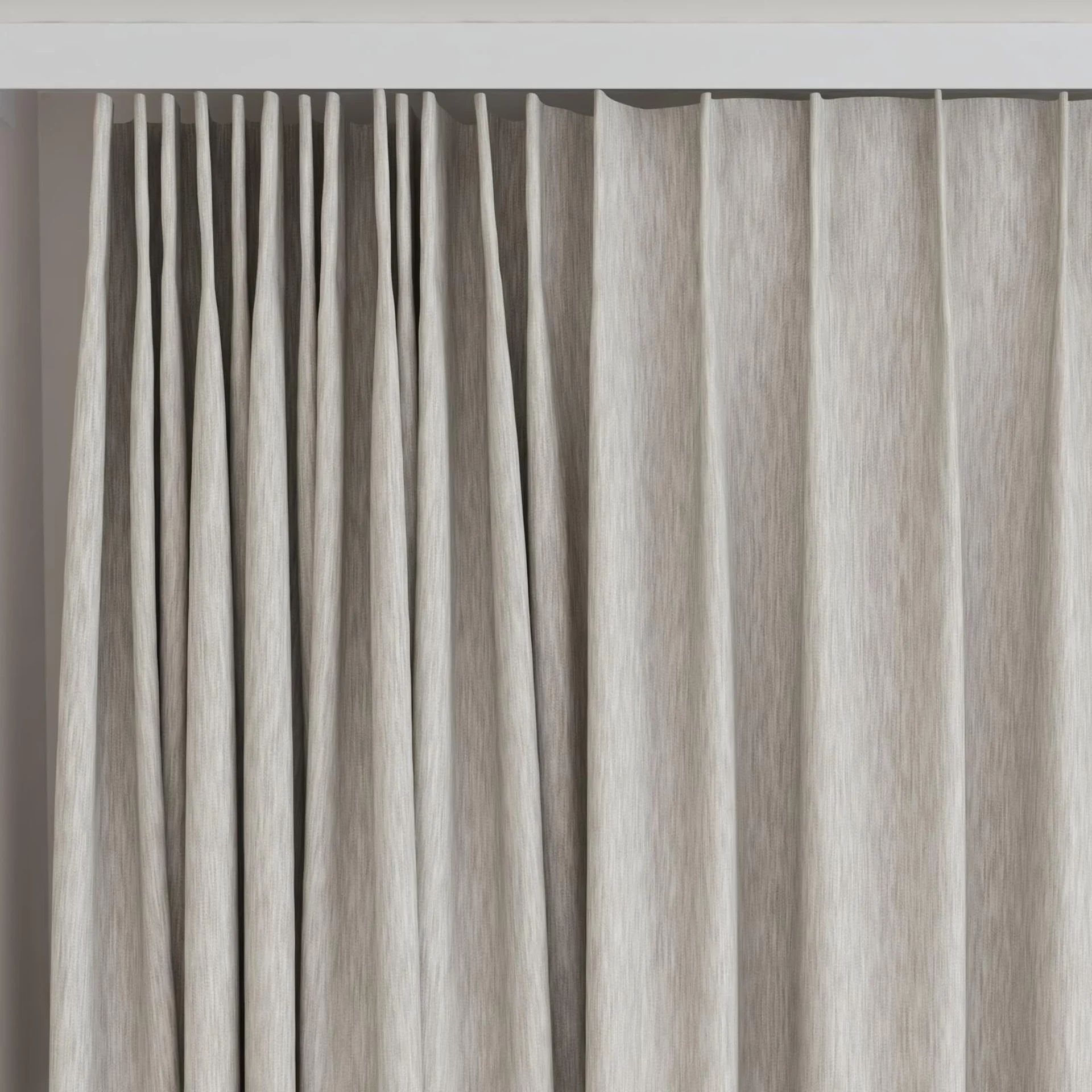 Top view of Tuxedo Chinchilla, on curtain rail