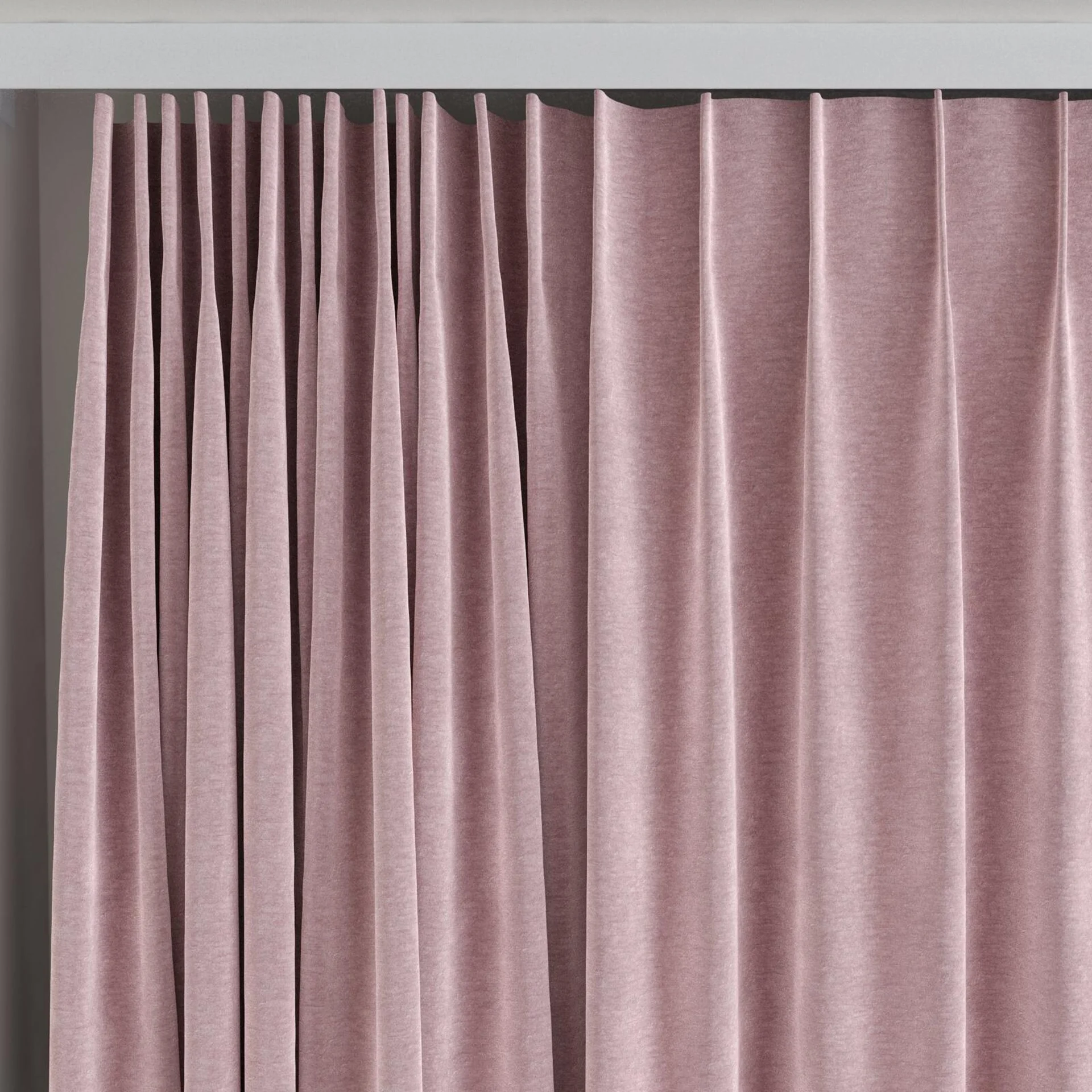 Top view of Geneva Orchid, on curtain rail