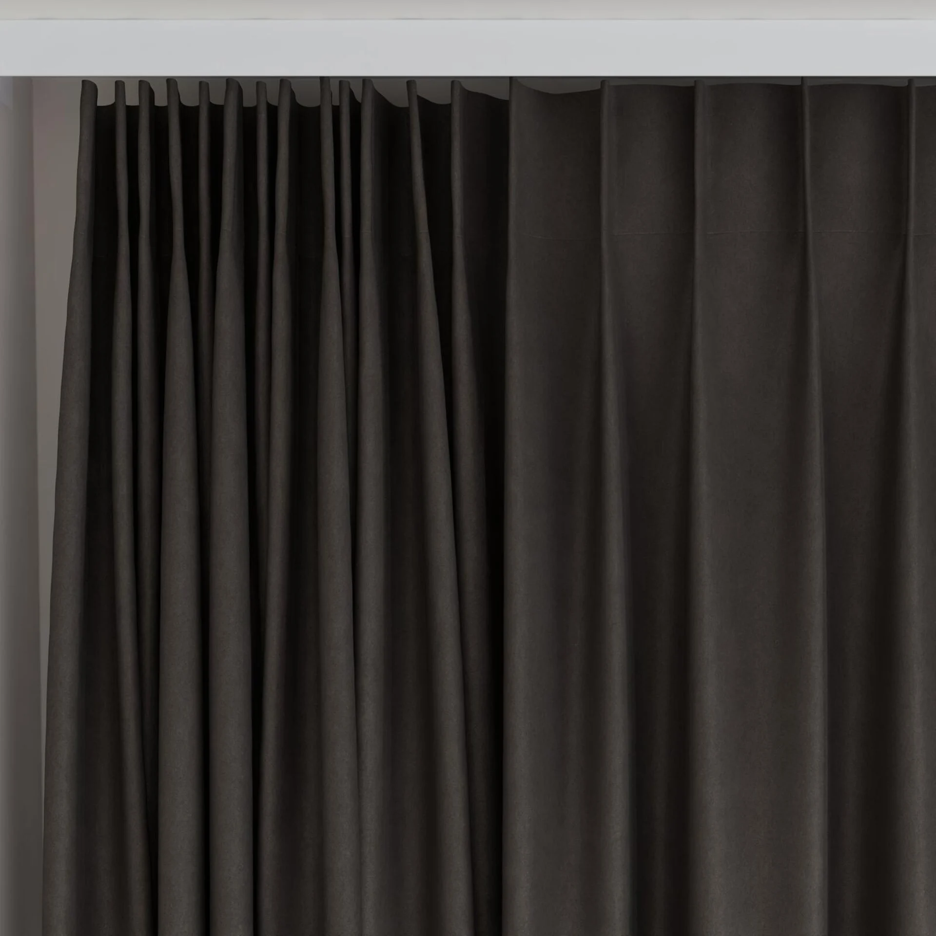 Top view of Lech Brownie, on curtain rail