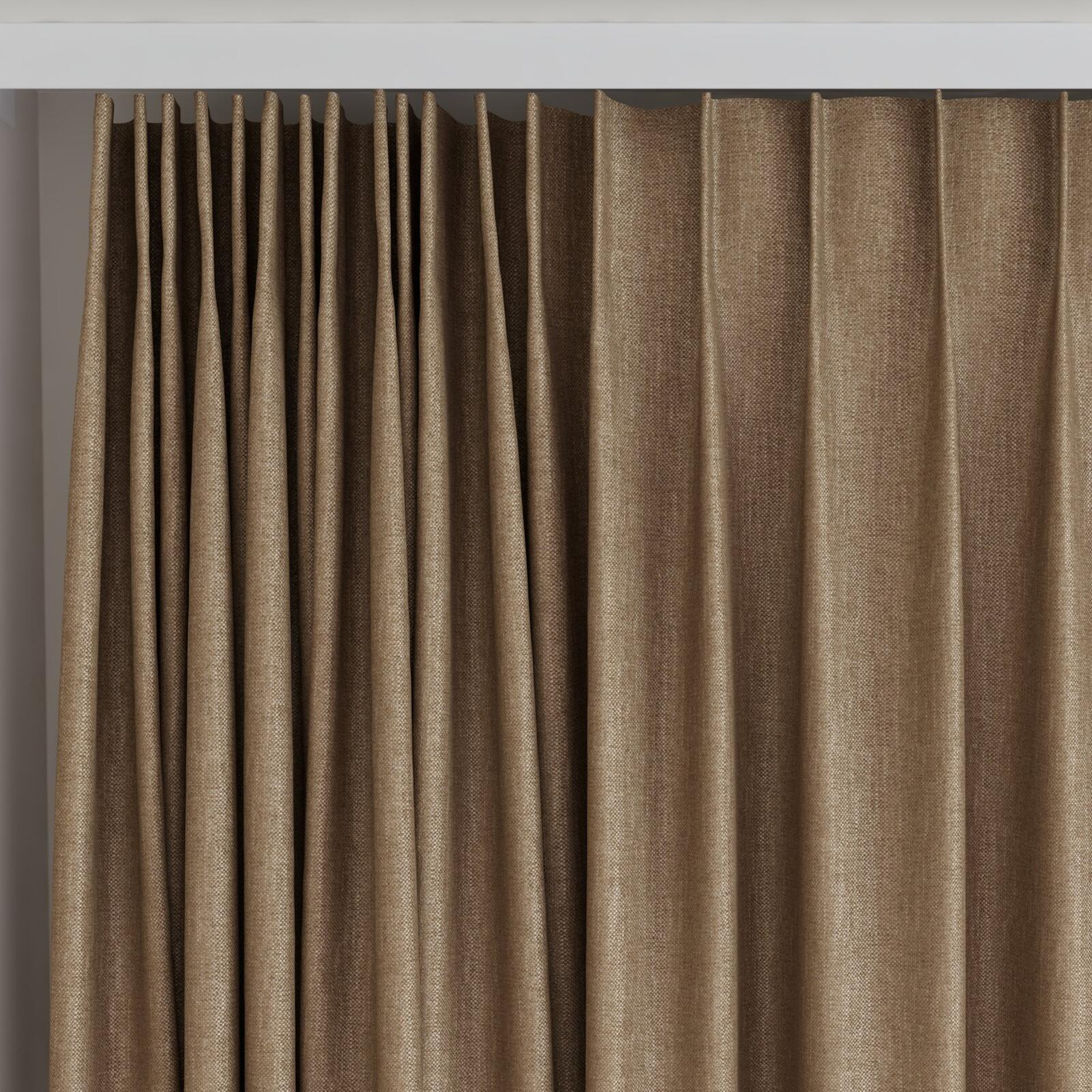 Top view of Bronco Mushroom, on curtain rail