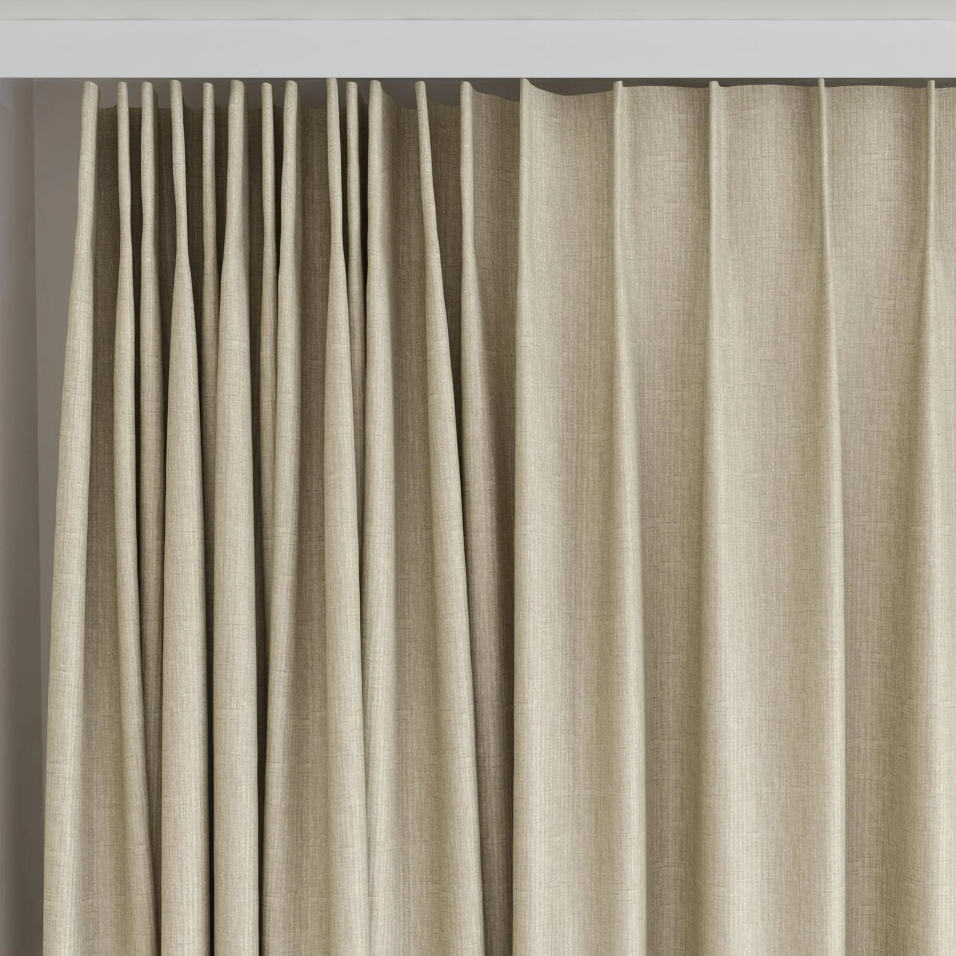 Top view of Hombre Sesame, on curtain rail
