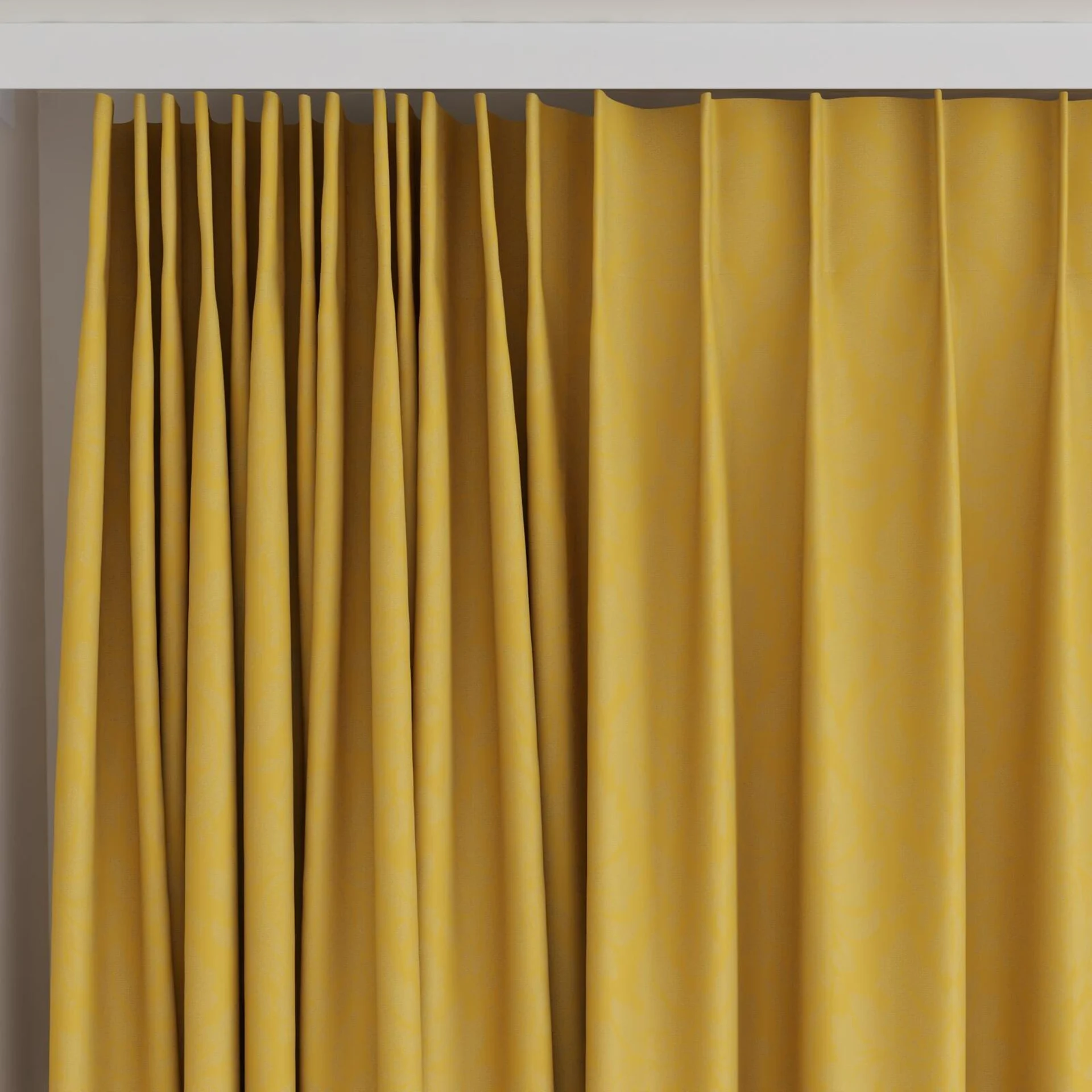 Top view of Jaborine Gold, on curtain rail