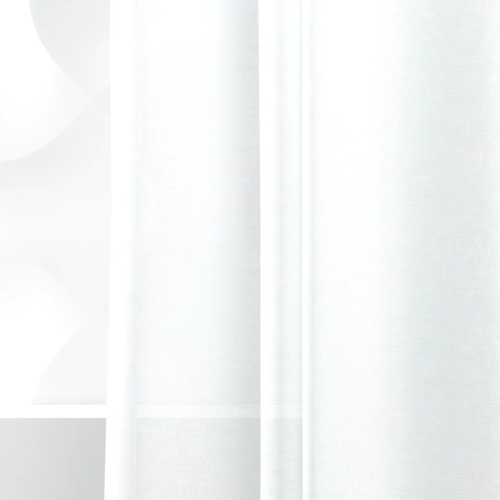 Detailed view of Sunlight Swan