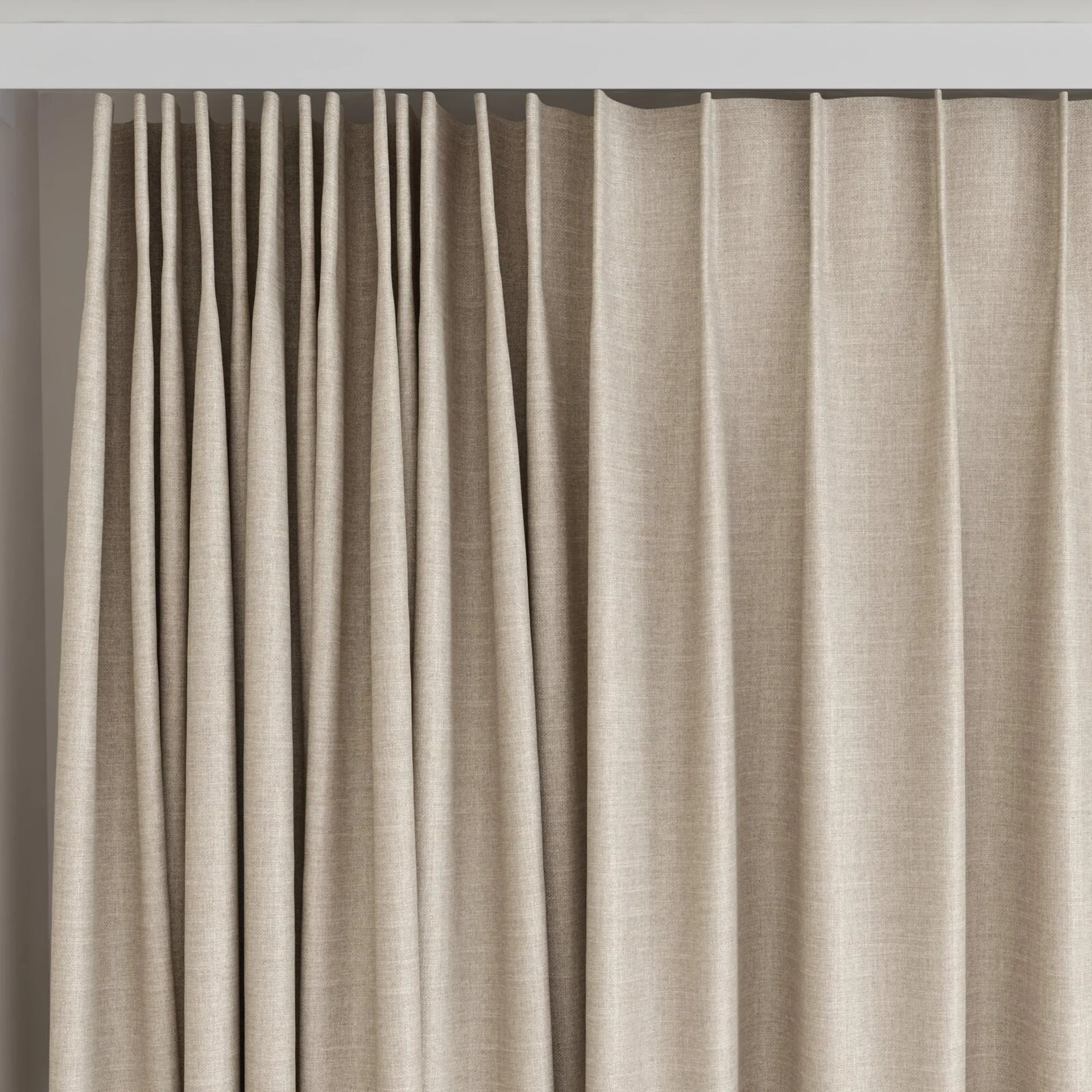 Top view of Frisco Sesame, on curtain rail