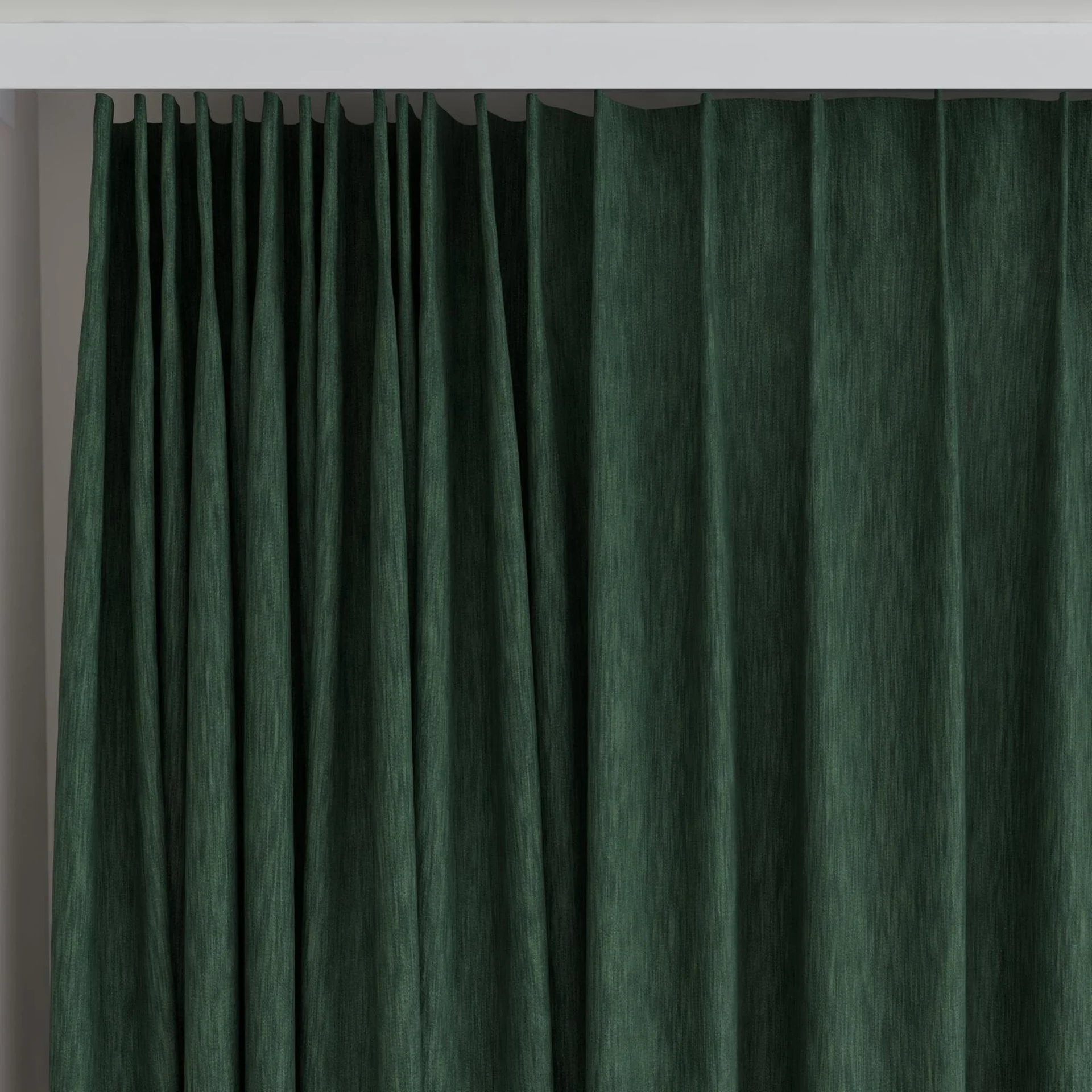 Top view of Tuxedo Ivy, on curtain rail