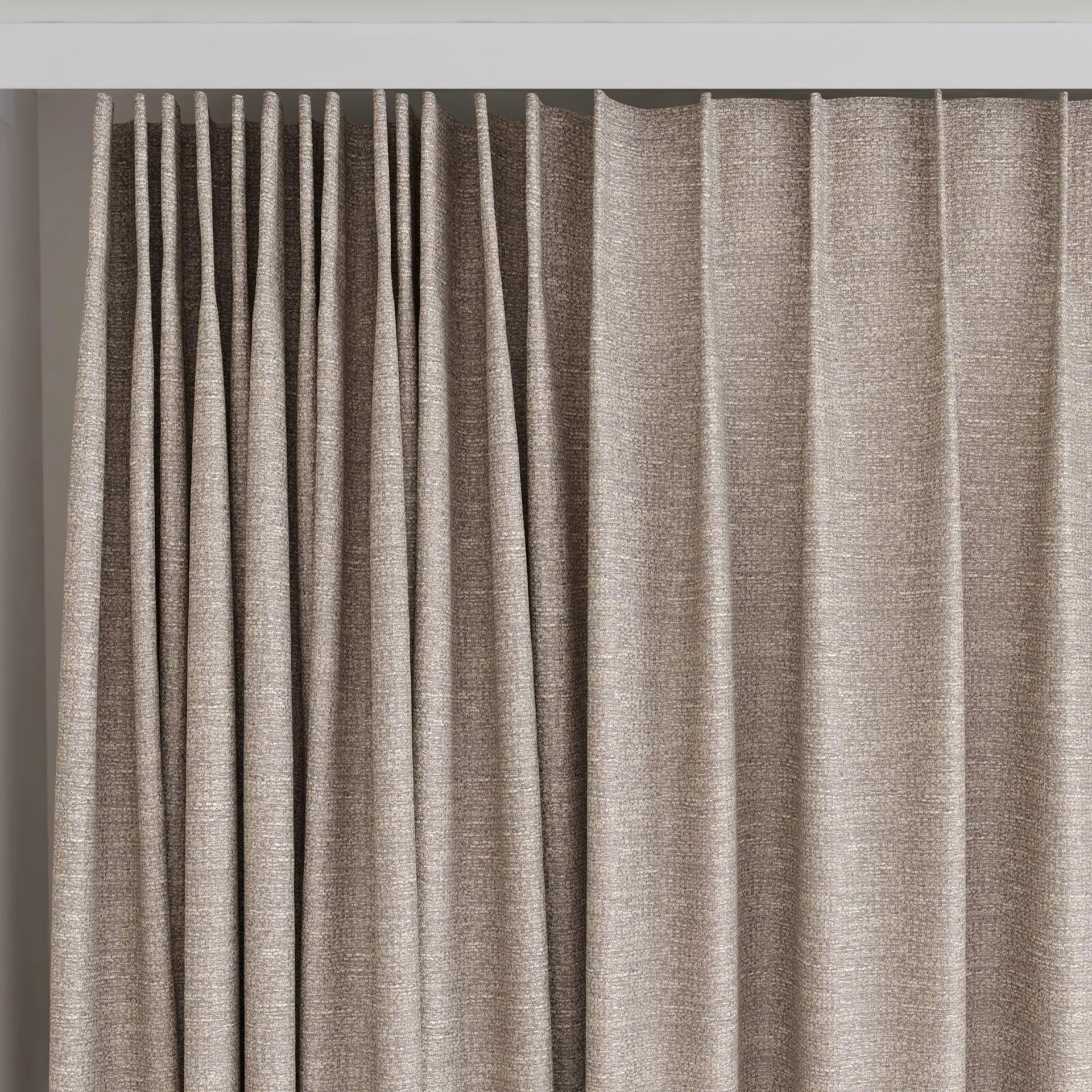 Top view of Ecliptic Orchid, on curtain rail