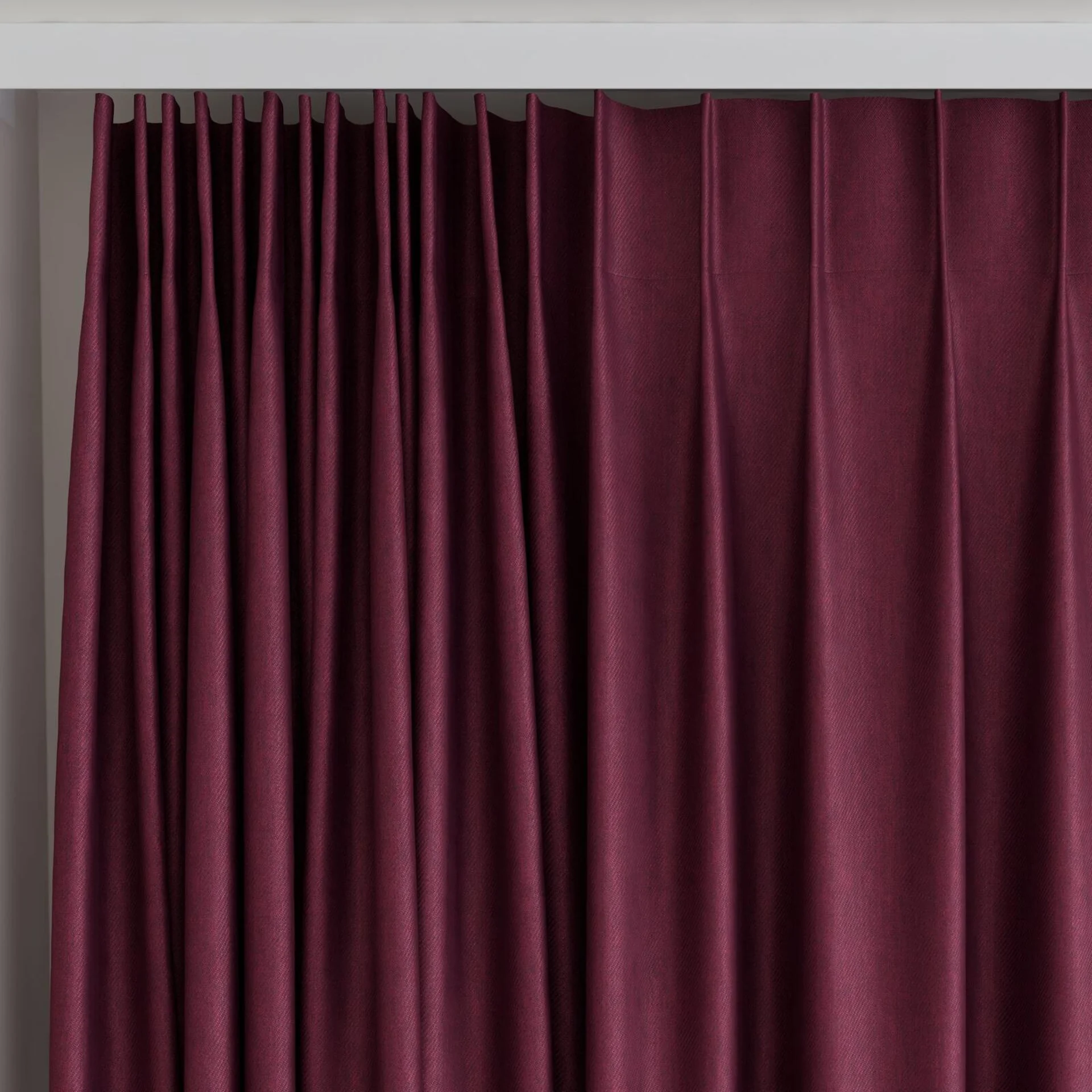 Top view of Fiji Cardinal, on curtain rail