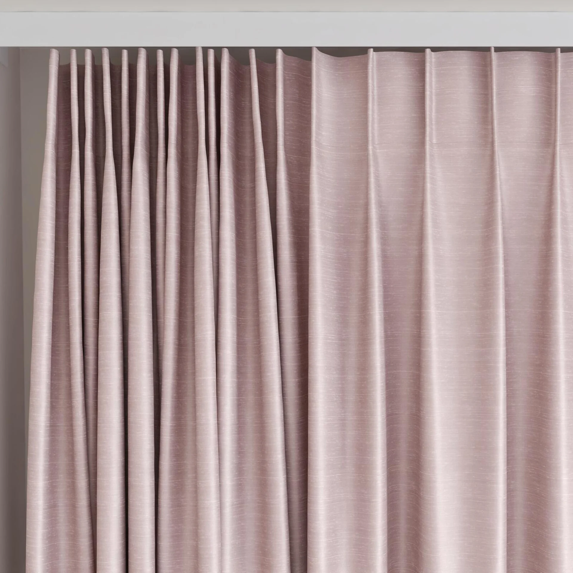 Top view of Silky Orchid, on curtain rail